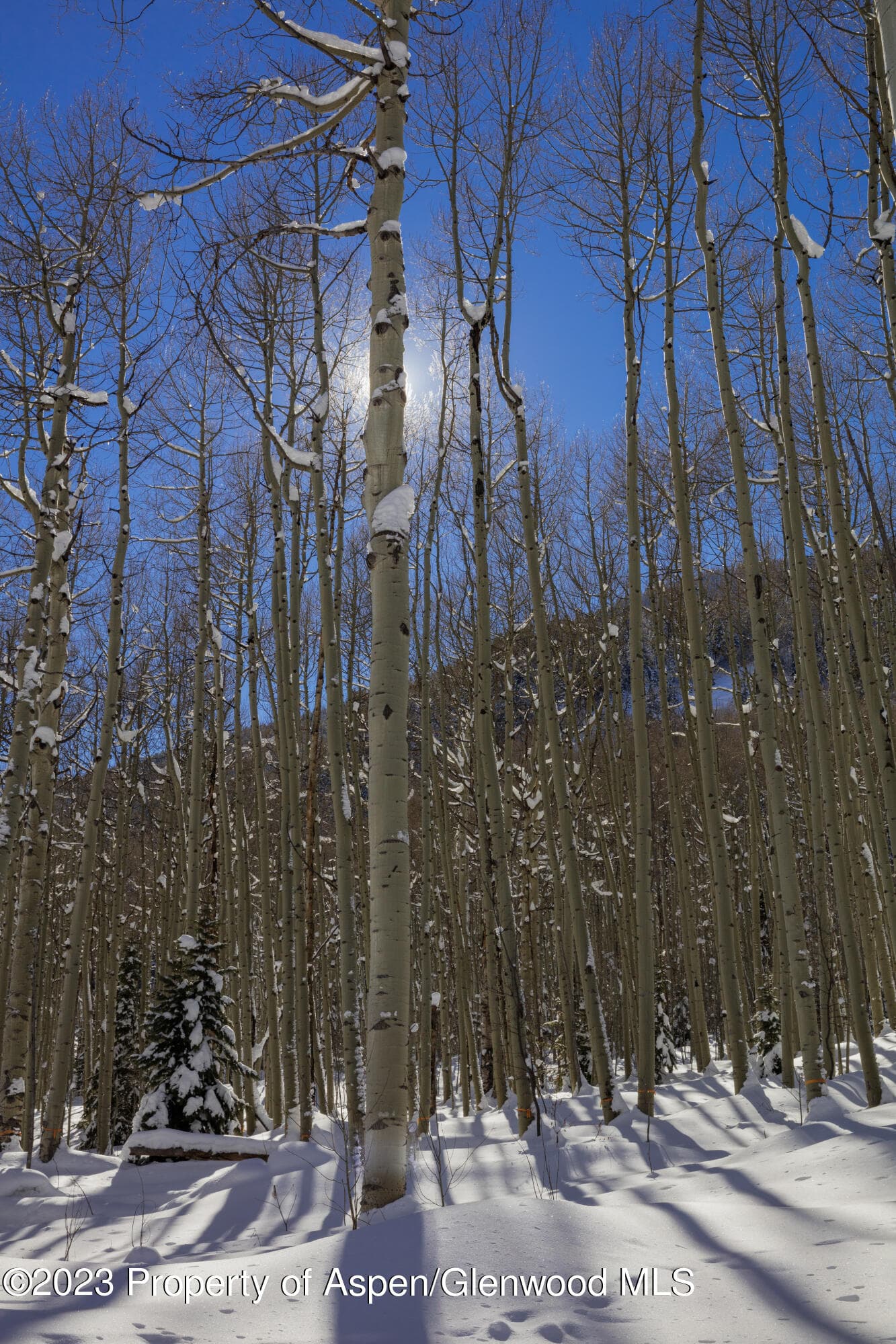 640 S Hayden Road, Aspen, CO 81611 - Photo 36