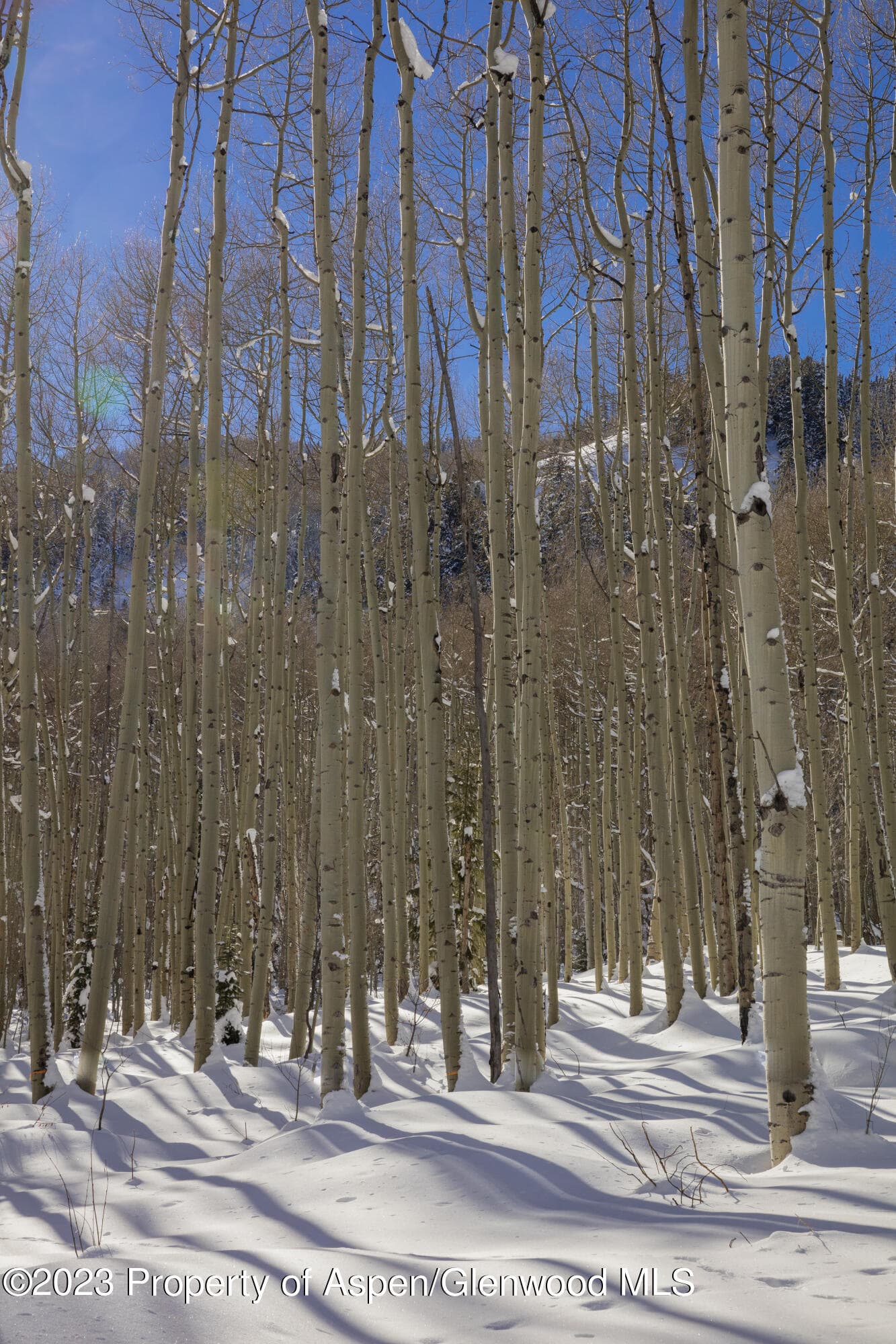 640 S Hayden Road, Aspen, CO 81611 - Photo 37