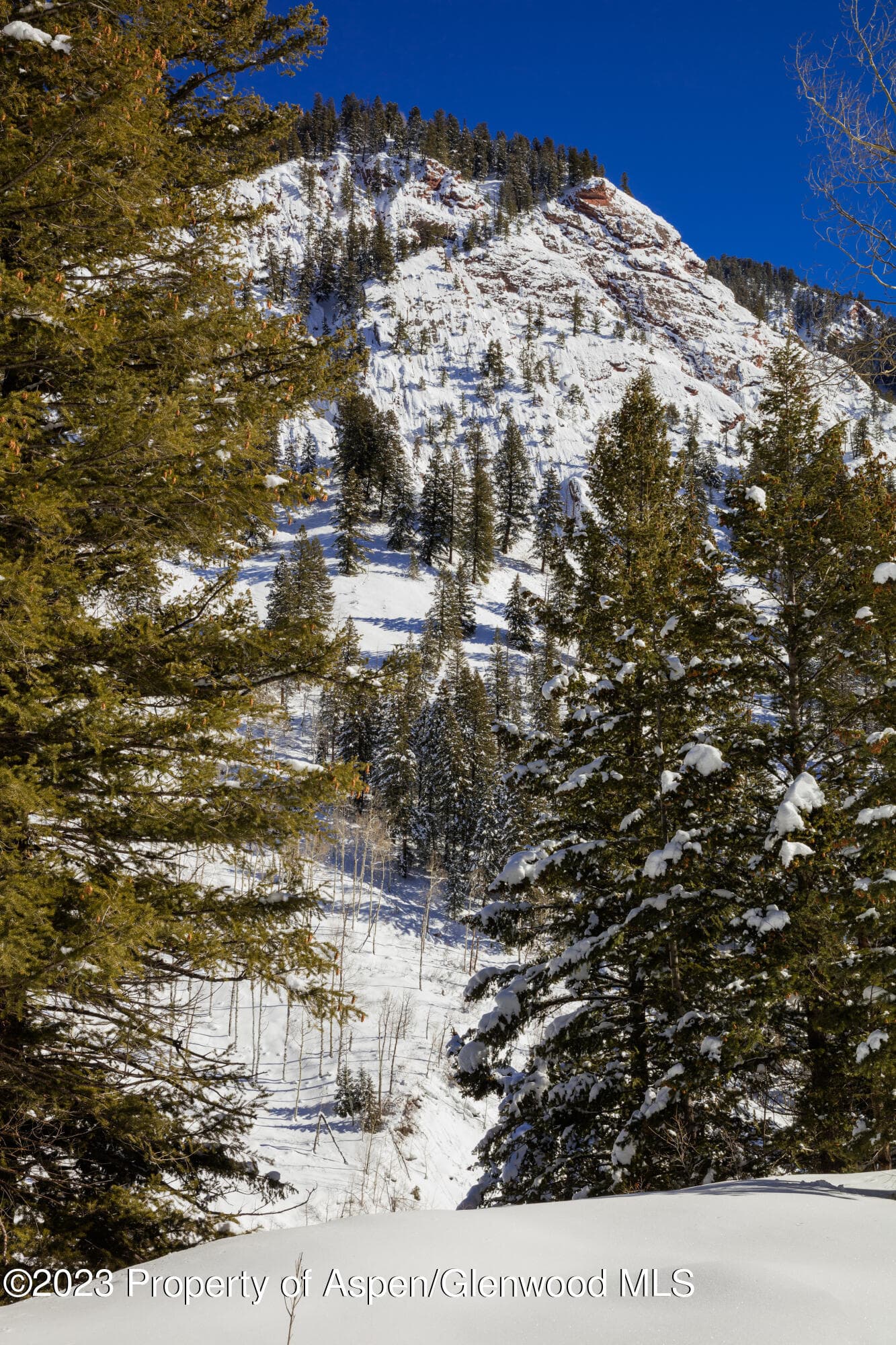 640 S Hayden Road, Aspen, CO 81611 - Photo 39