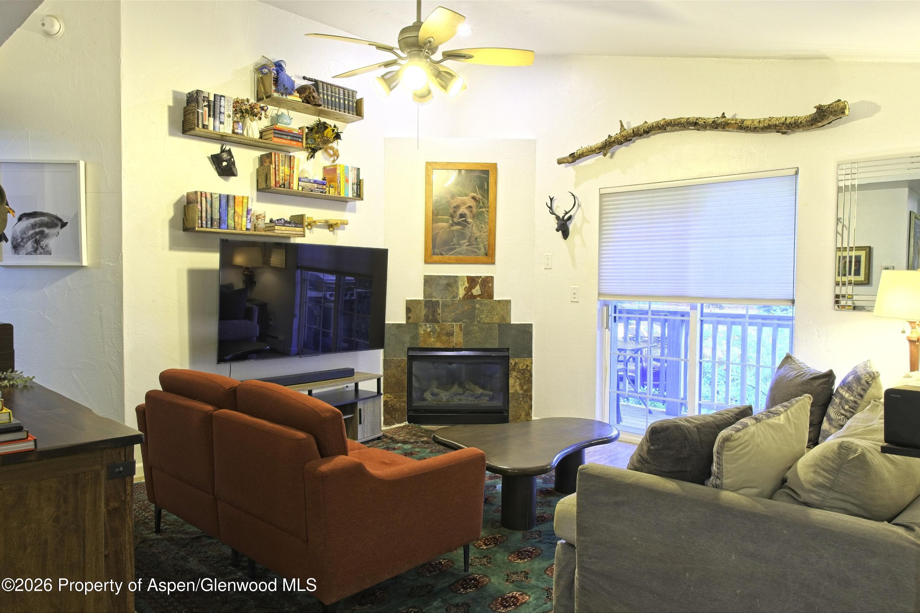 7204 Elk Lane, Basalt, CO 81621 - Photo 6