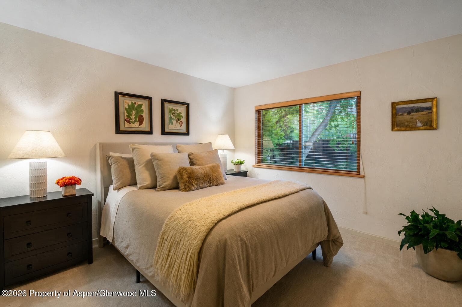 90 River Cove, Basalt, CO 81621 - Photo 11