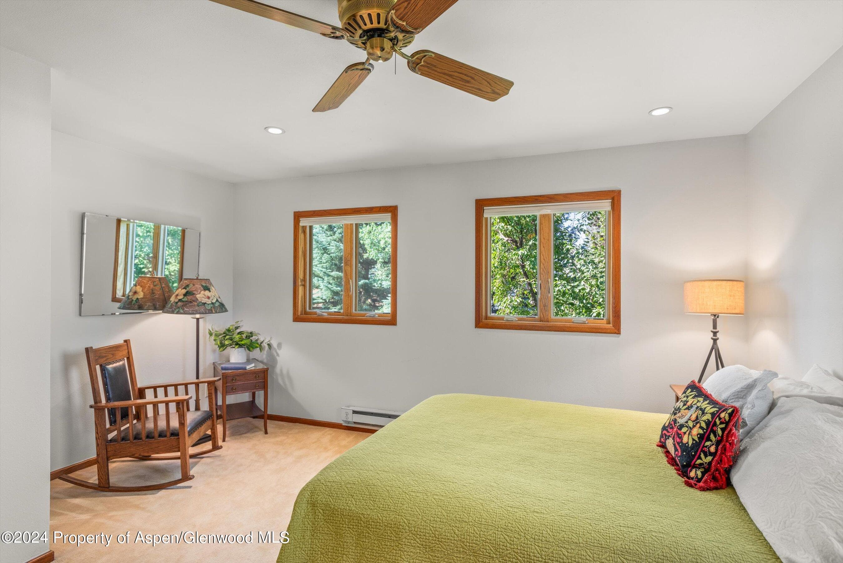 160 Pine Street, Carbondale, CO 81623 - Photo 28