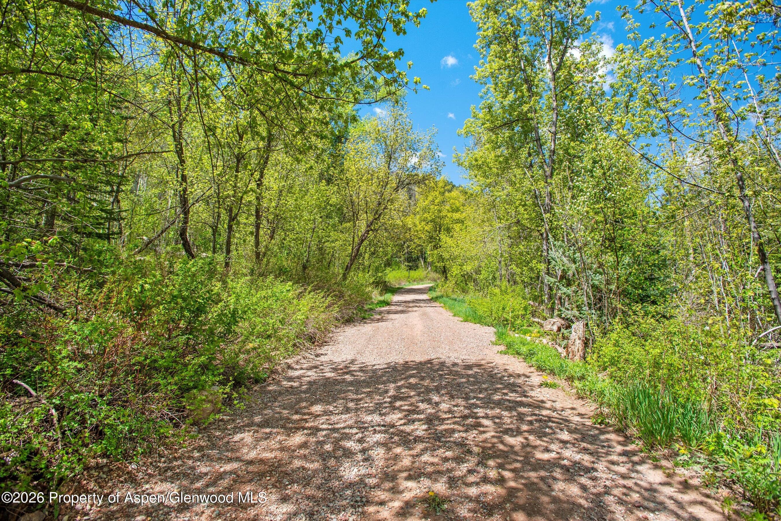 Tbd Coal Creek Road, Redstone, CO 81623 - Photo 6