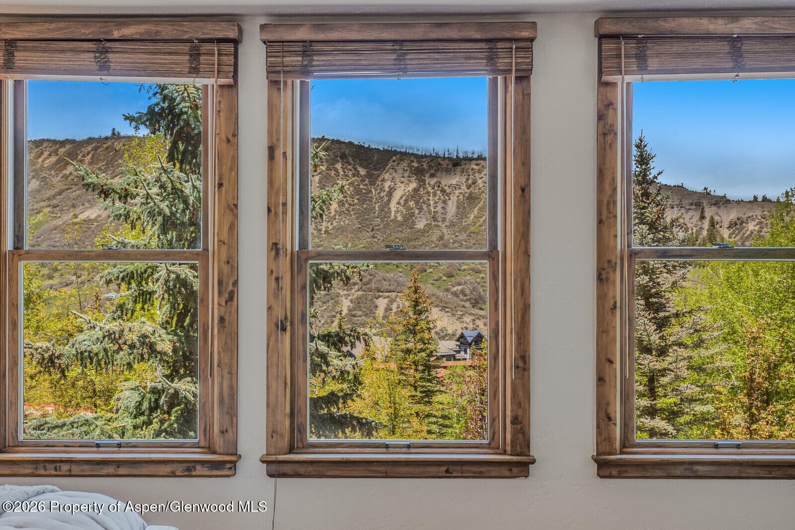 425 Wood Road 15 & 16, Snowmass Village, CO 81615 - Photo 54