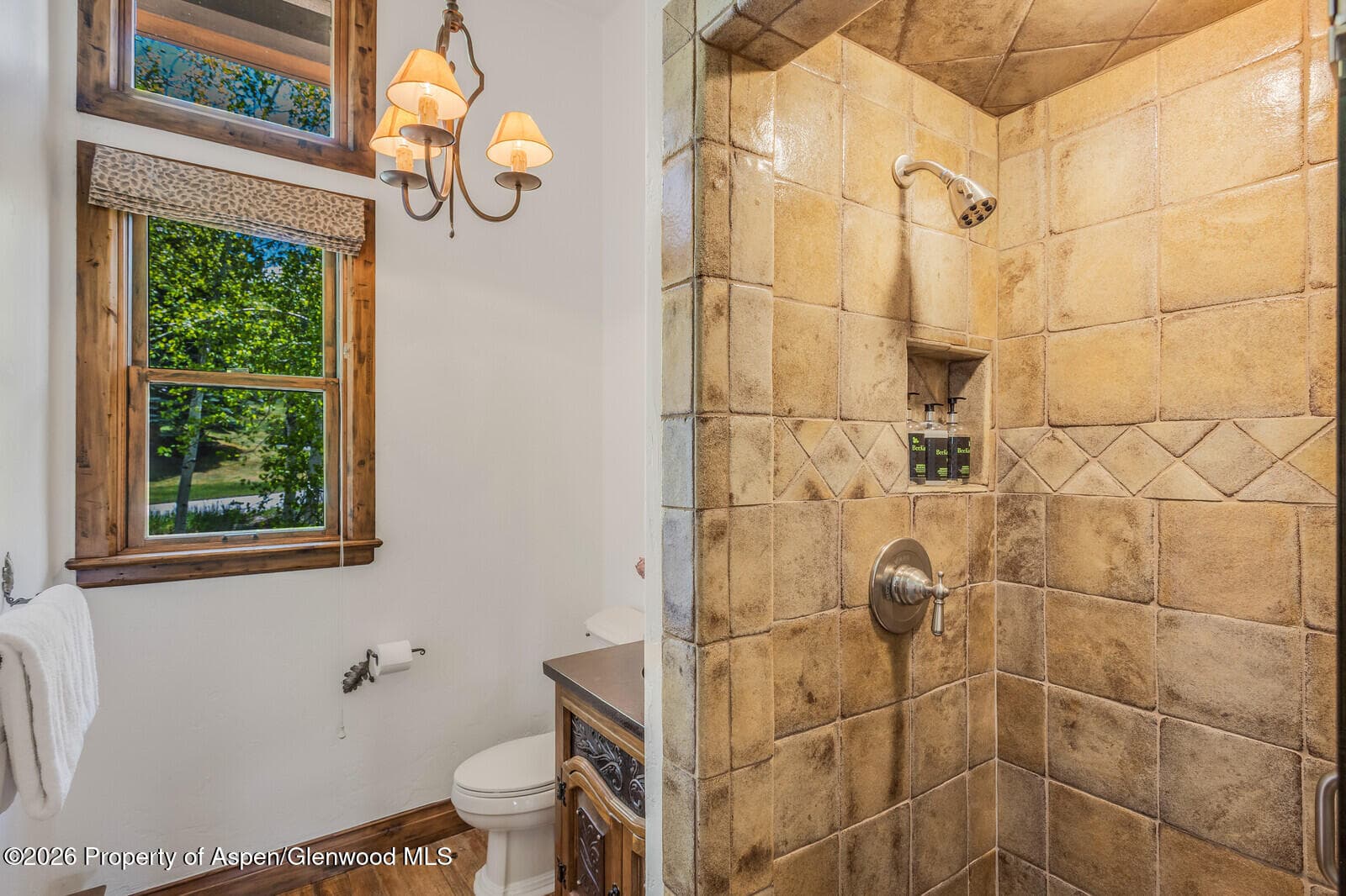 425 Wood Road 15 & 16, Snowmass Village, CO 81615 - Photo 73