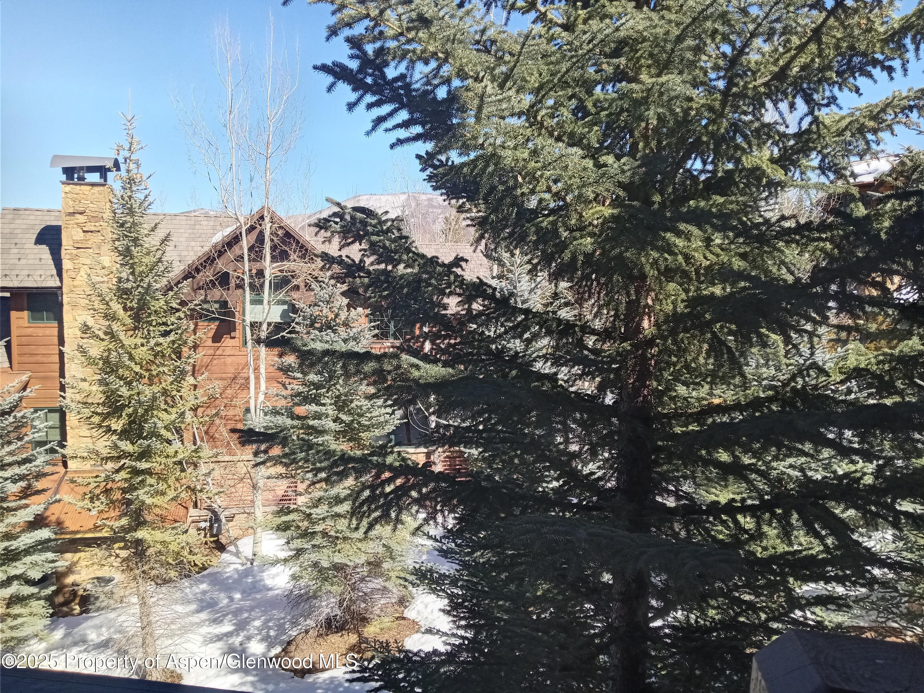0197 Prospector Road Unit 2310 Summer Interest #7, Aspen, CO 81611 - Photo 28