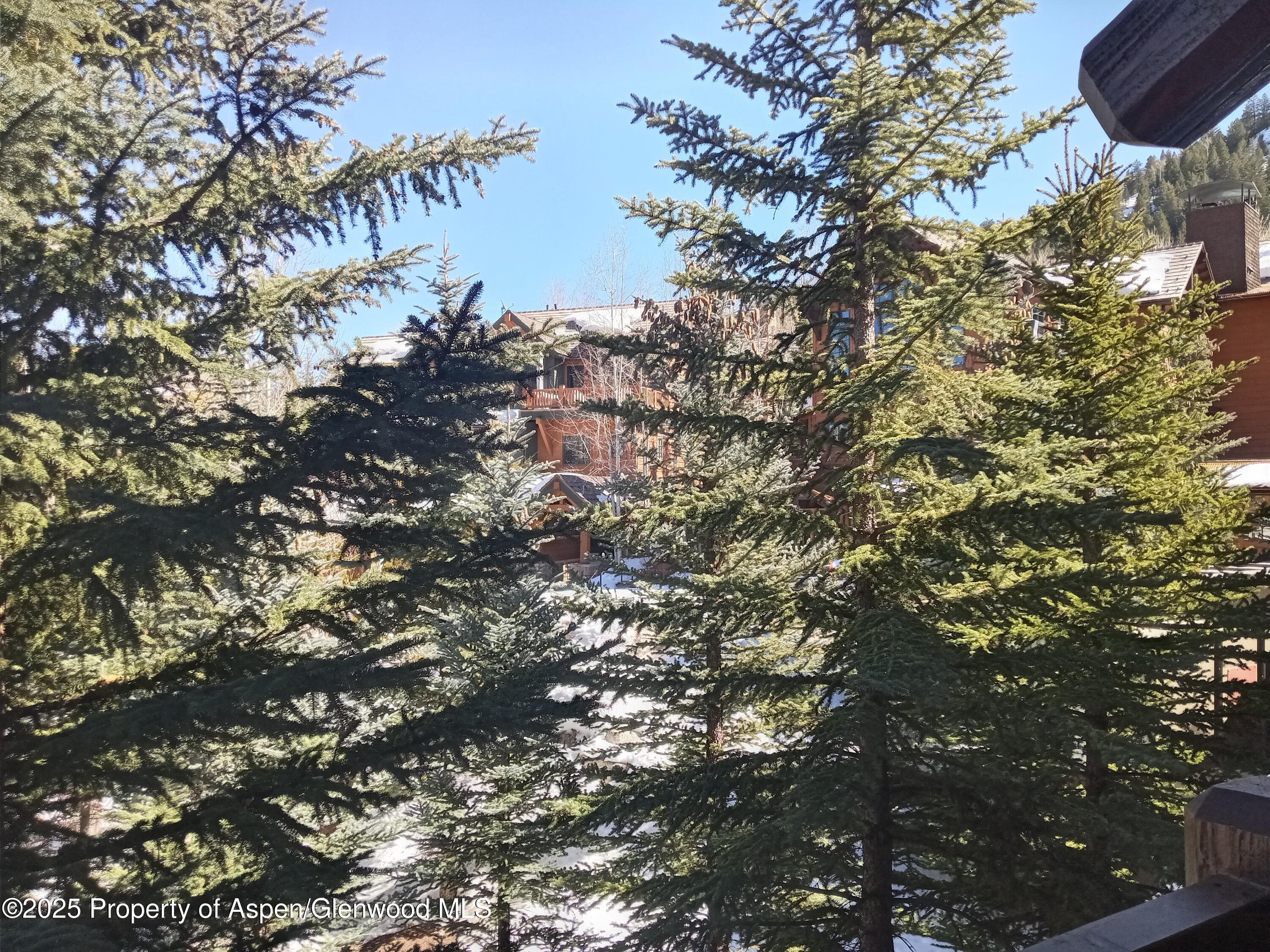 0197 Prospector Road Unit 2310 Summer Interest #7, Aspen, CO 81611 - Photo 29
