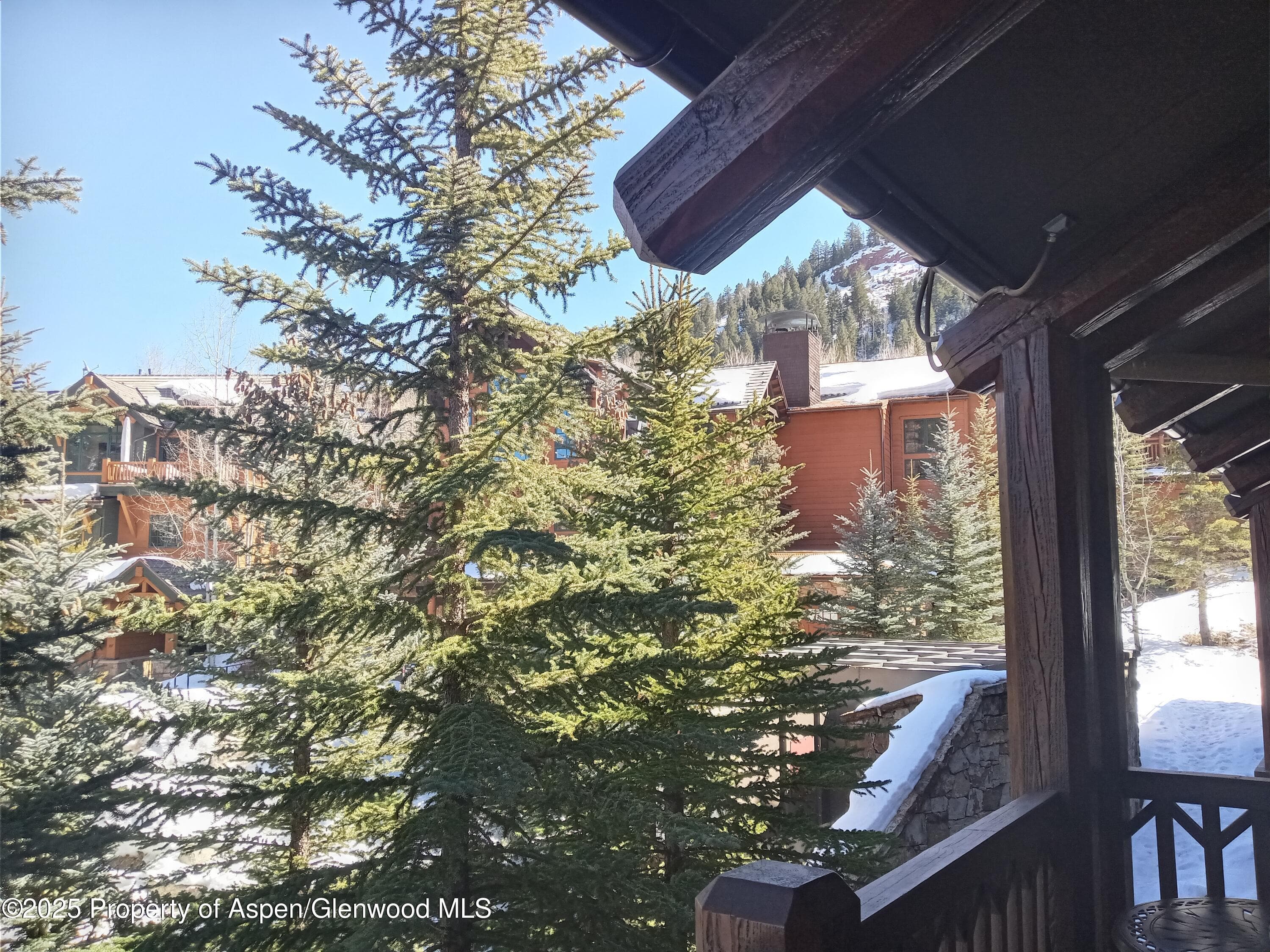 0197 Prospector Road Unit 2310 Summer Interest #7, Aspen, CO 81611 - Photo 30