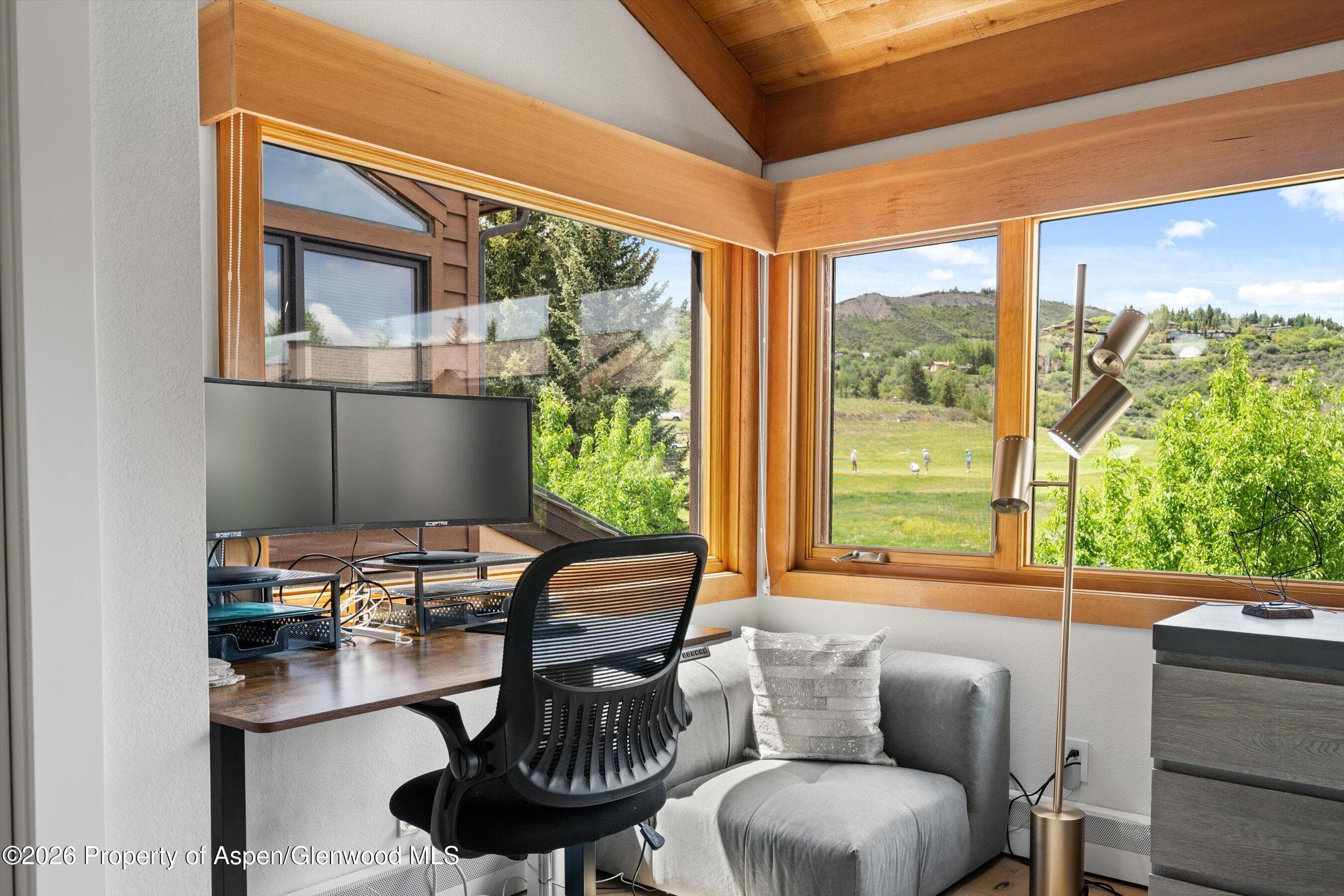 42 Saint Andrews Court 67, Snowmass Village, CO 81615 - Photo 38