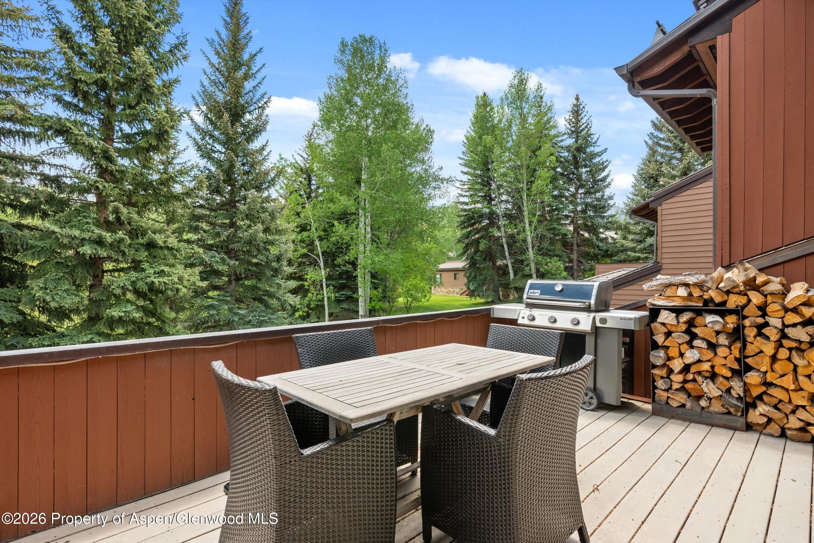 42 Saint Andrews Court 67, Snowmass Village, CO 81615 - Photo 17