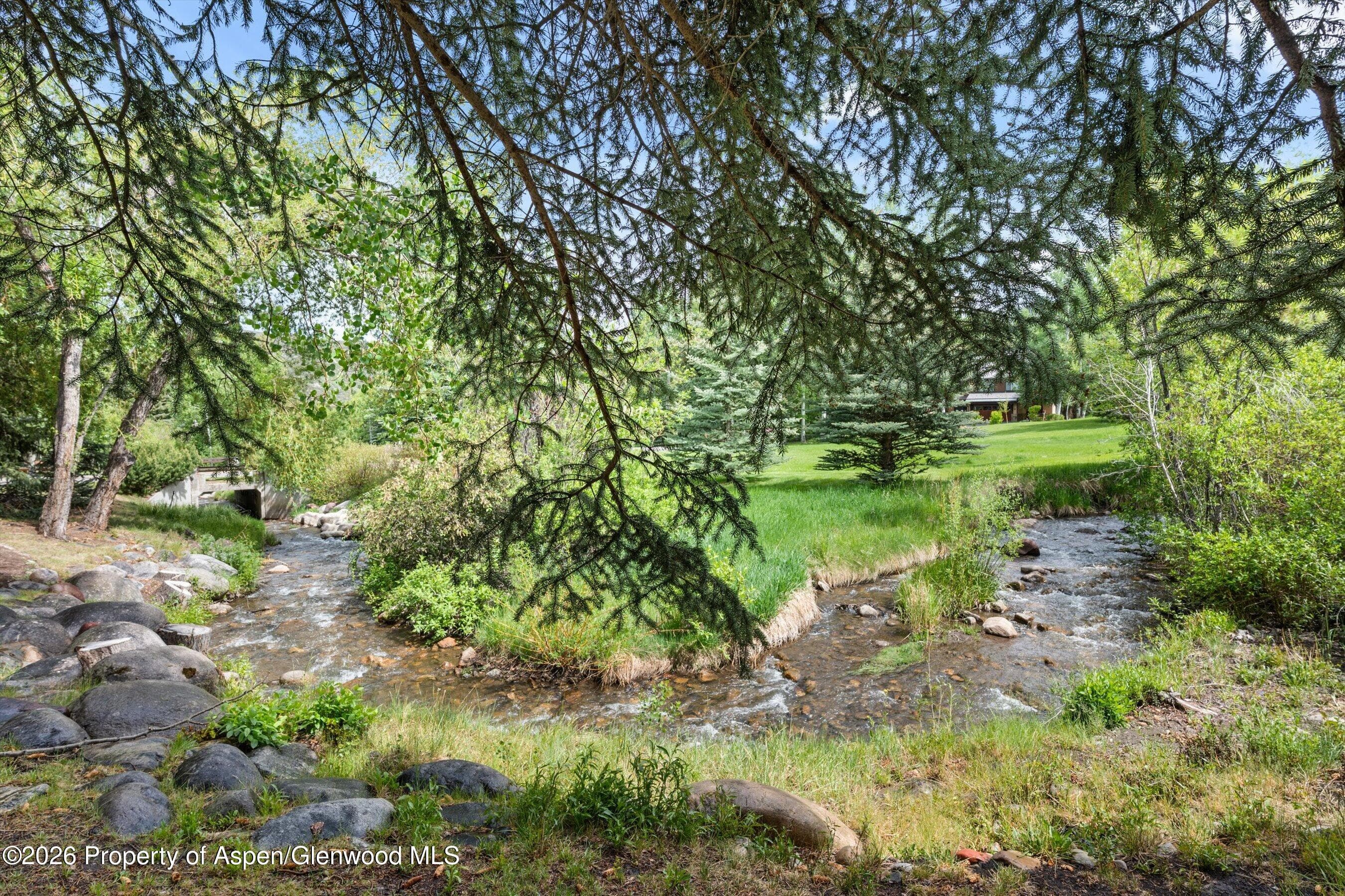 42 Saint Andrews Court 67, Snowmass Village, CO 81615 - Photo 48