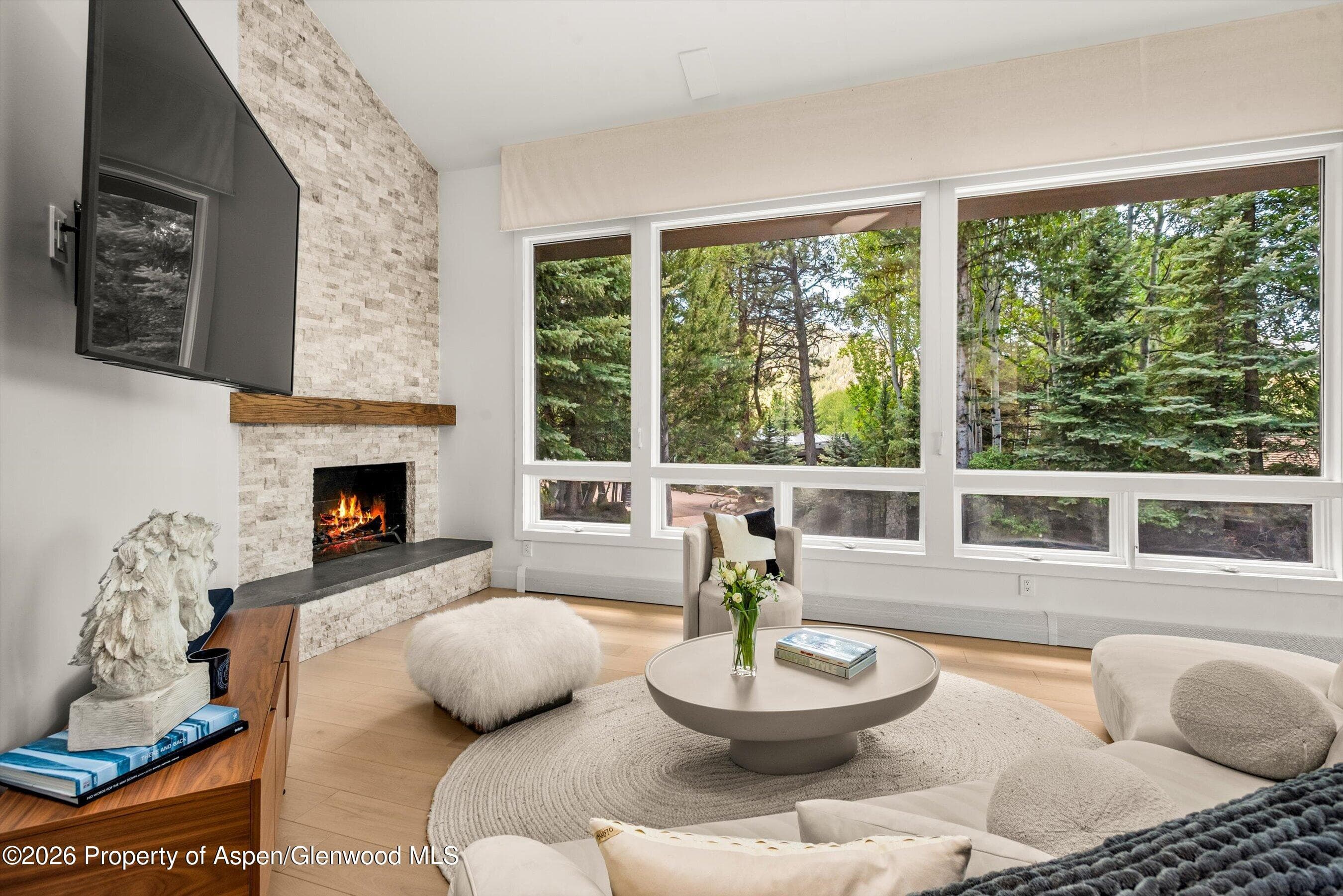 75 Bennett Court, Aspen, CO 81611 - Photo 5