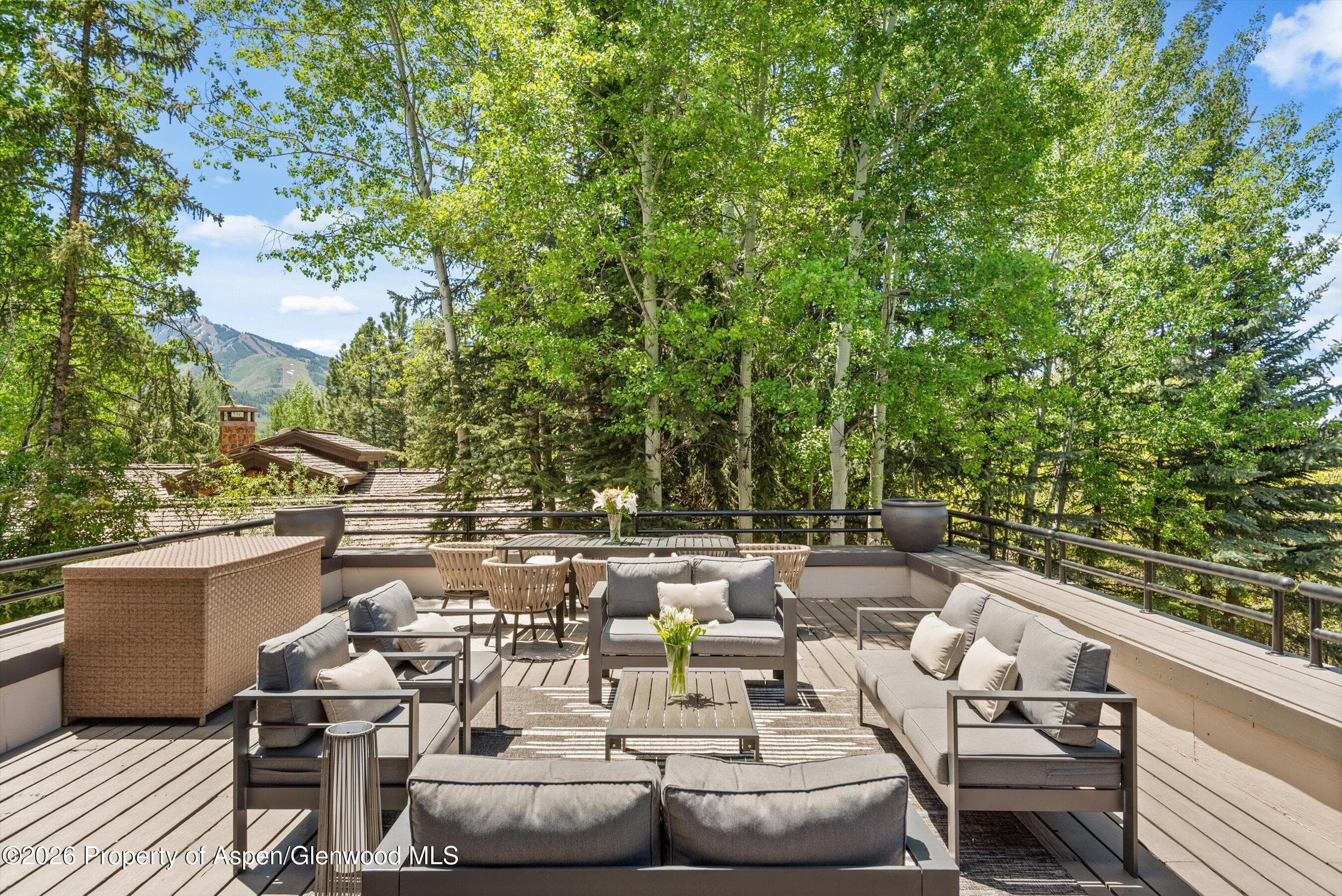75 Bennett Court, Aspen, CO 81611 - Photo 7