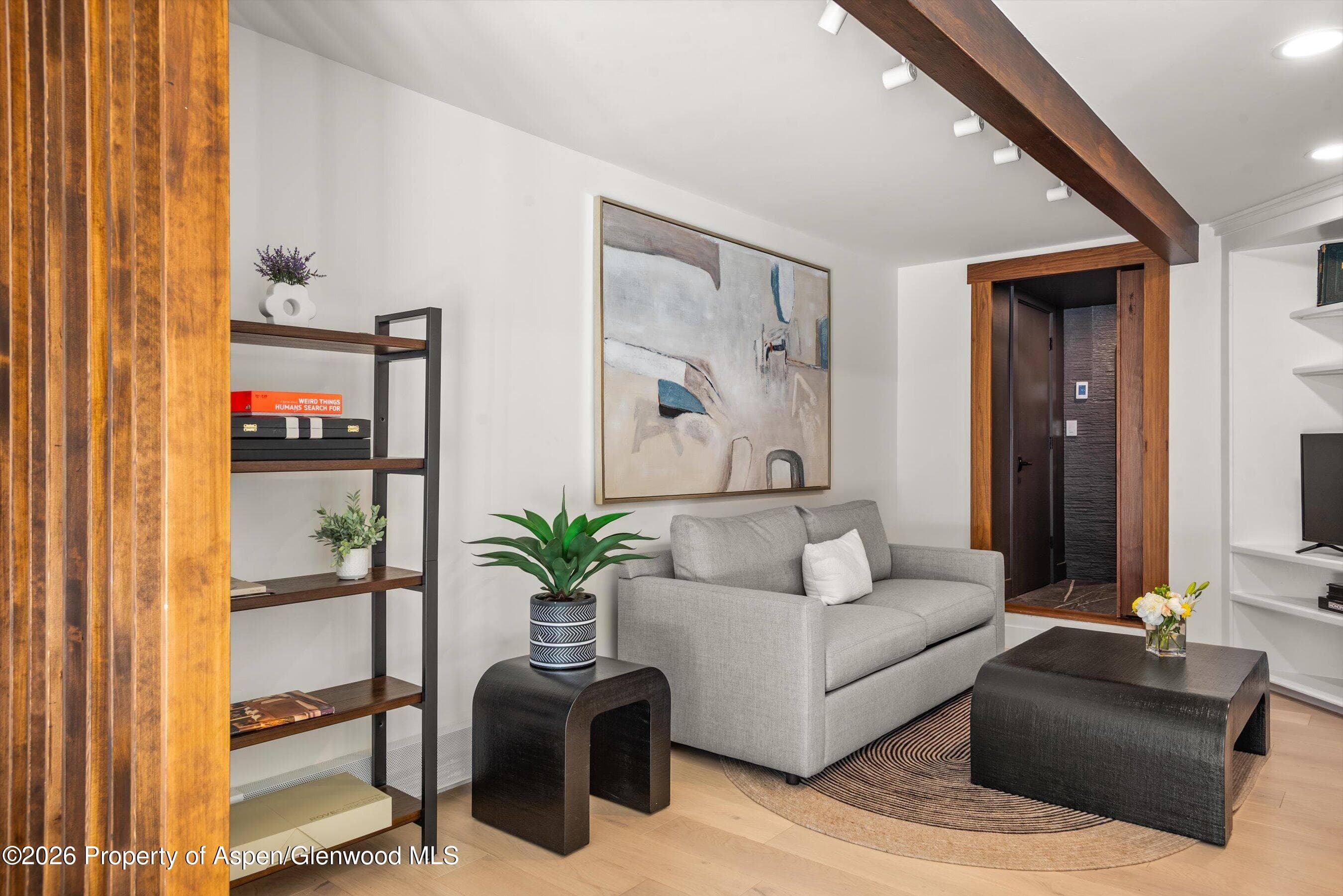 75 Bennett Court, Aspen, CO 81611 - Photo 23