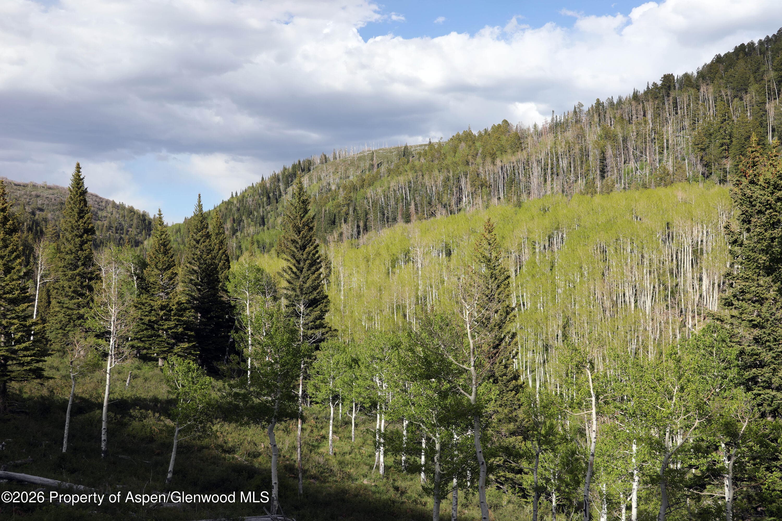 Tbd Ms Road, Glade Park, CO 81523 - Photo 2