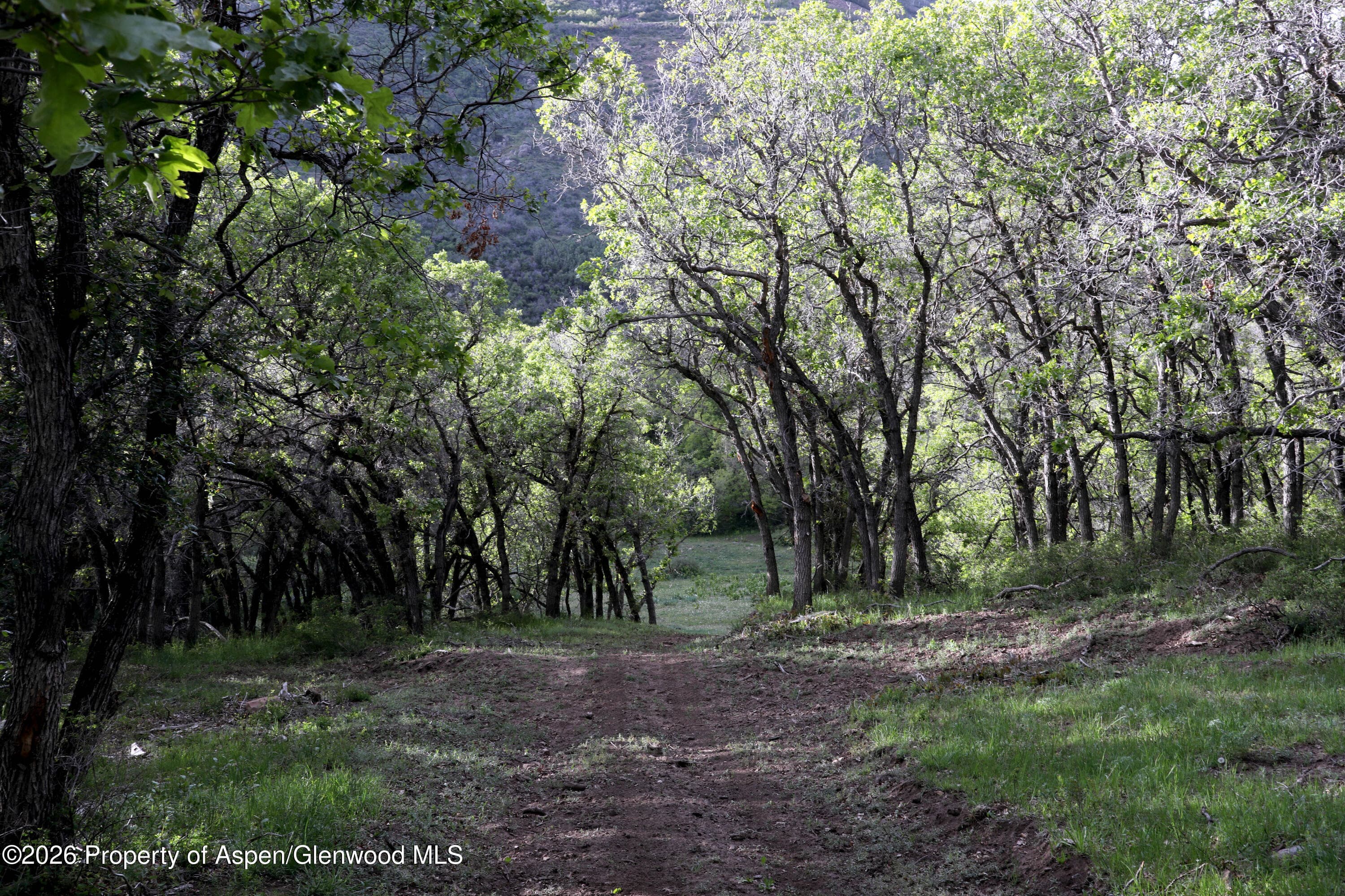 Tbd Ms Road, Glade Park, CO 81523 - Photo 7