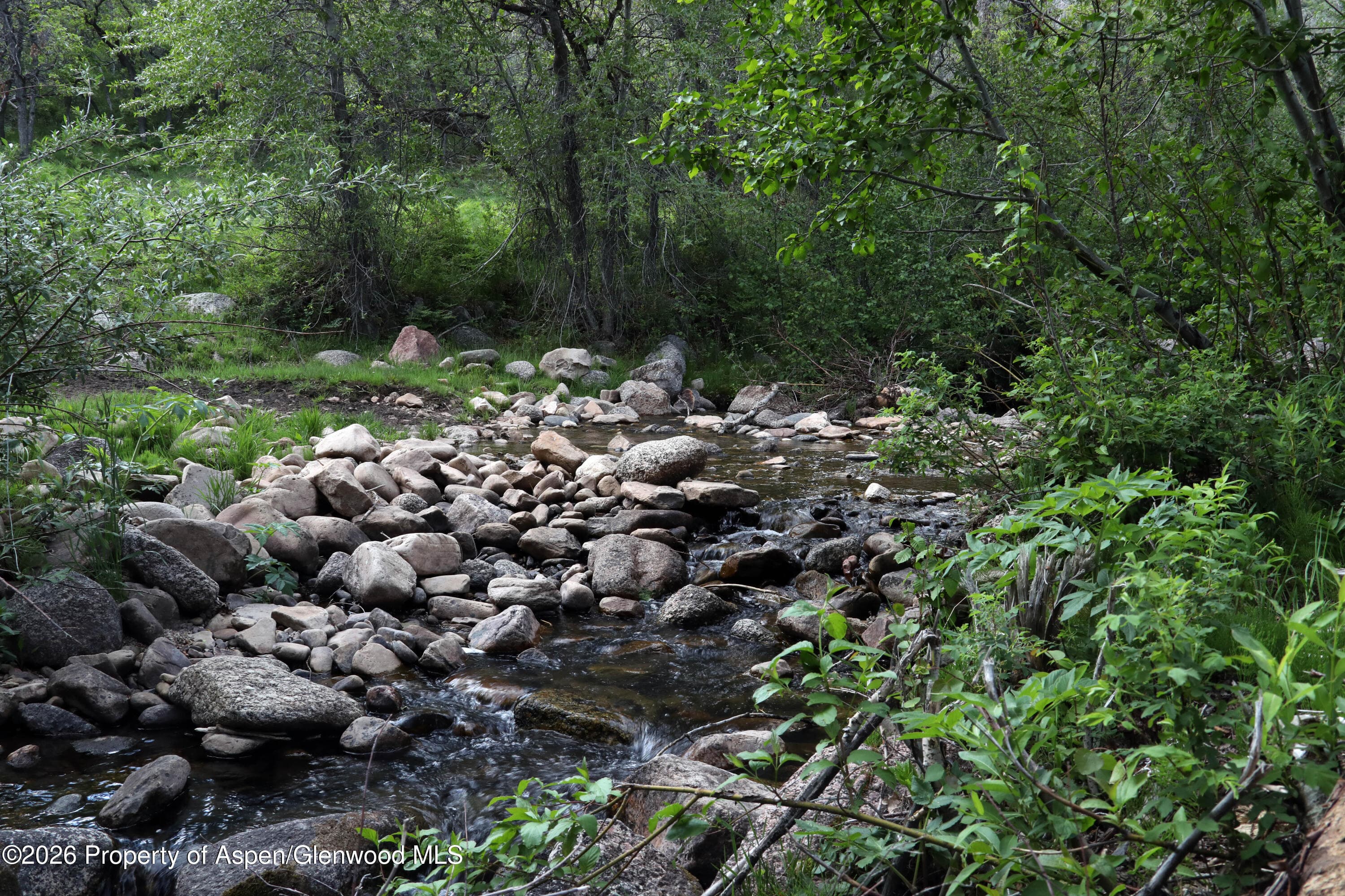 Tbd Ms Road, Glade Park, CO 81523 - Photo 9
