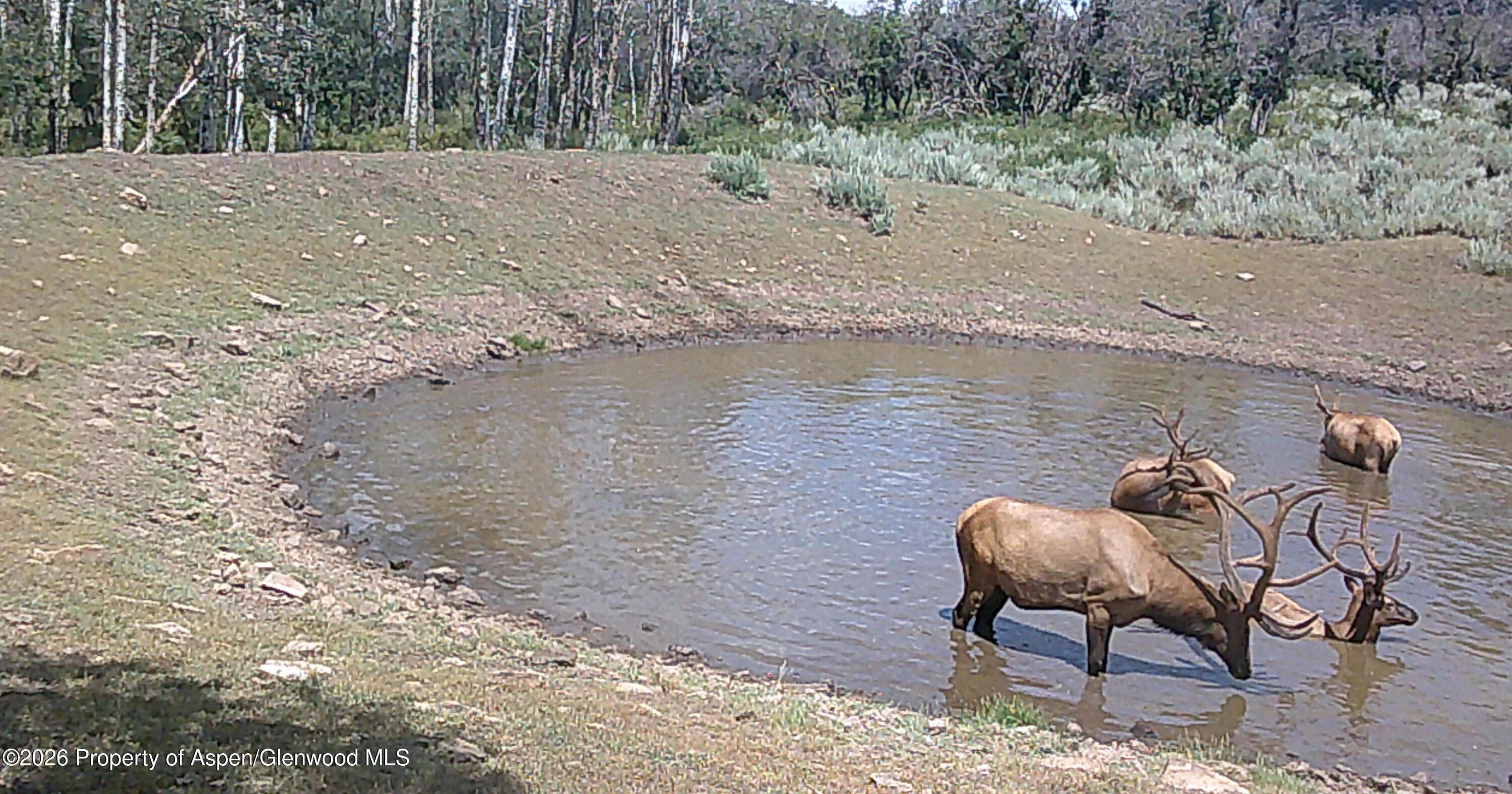 Tbd Ms Road, Glade Park, CO 81523 - Photo 19