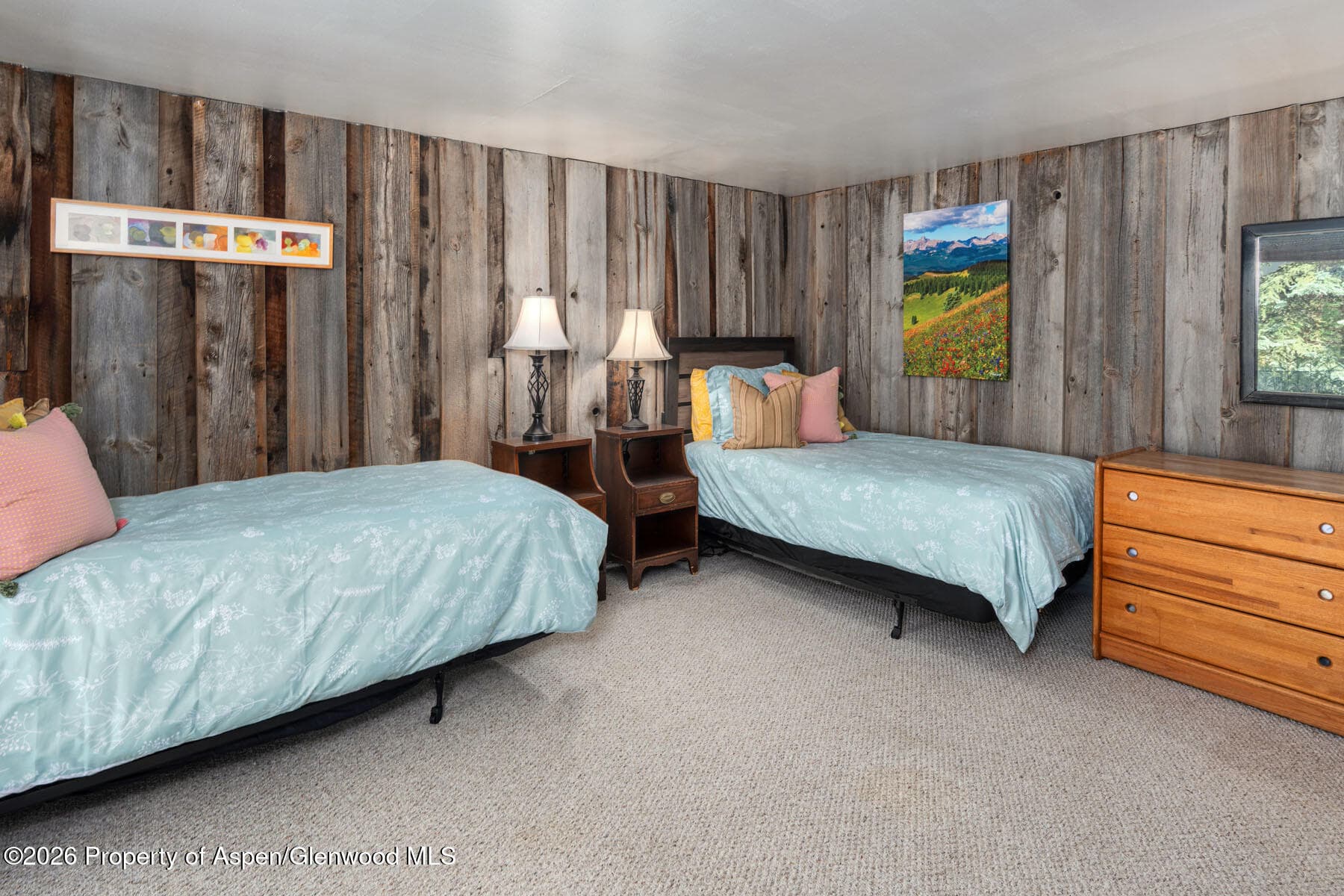 979 Queen Street, Aspen, CO 81611 - Photo 21