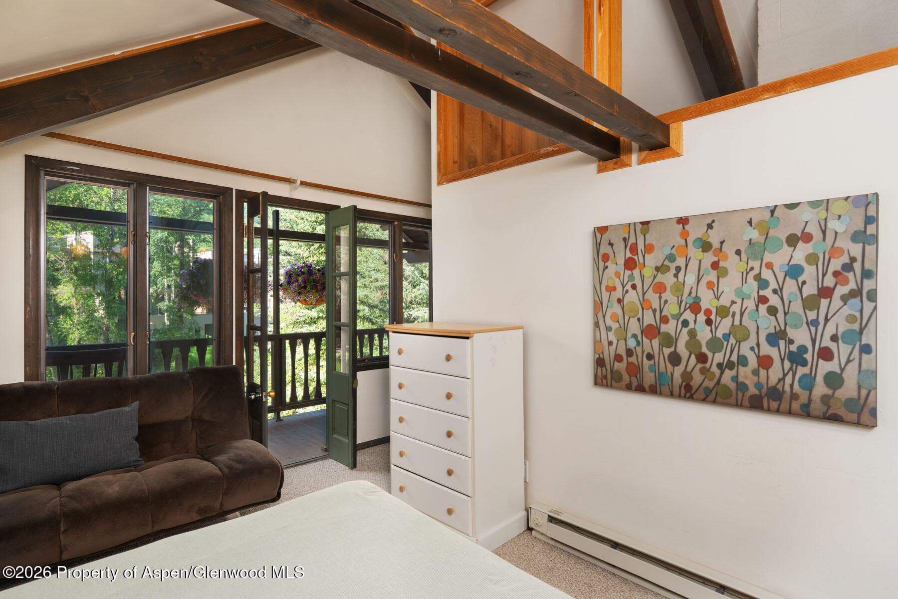 979 Queen Street, Aspen, CO 81611 - Photo 15