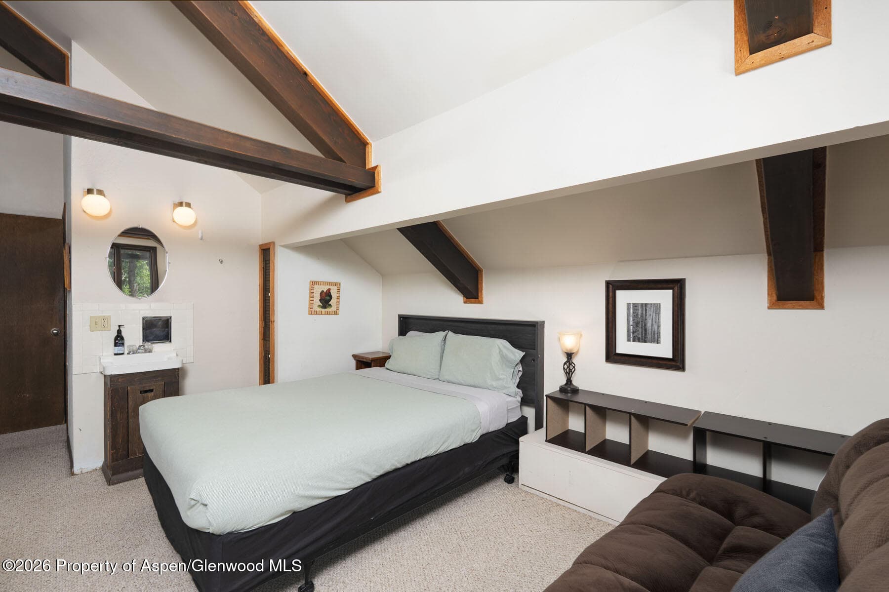 979 Queen Street, Aspen, CO 81611 - Photo 16