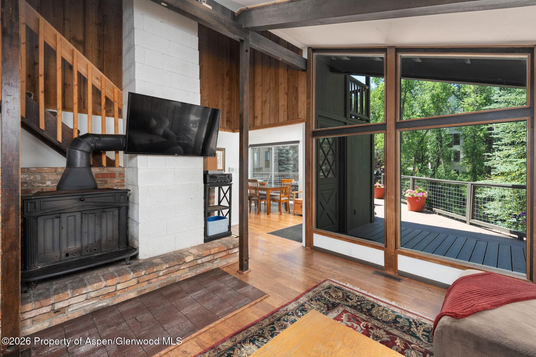 979 Queen Street, Aspen, CO 81611 - Photo 8