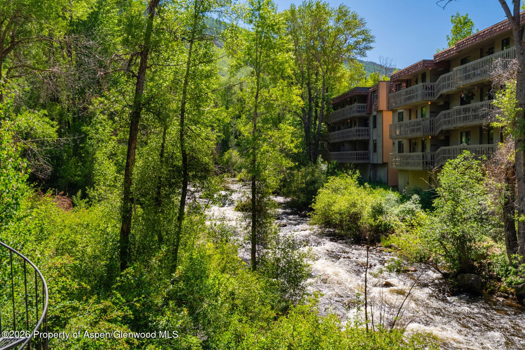979 Queen Street, Aspen, CO 81611 - Photo 25