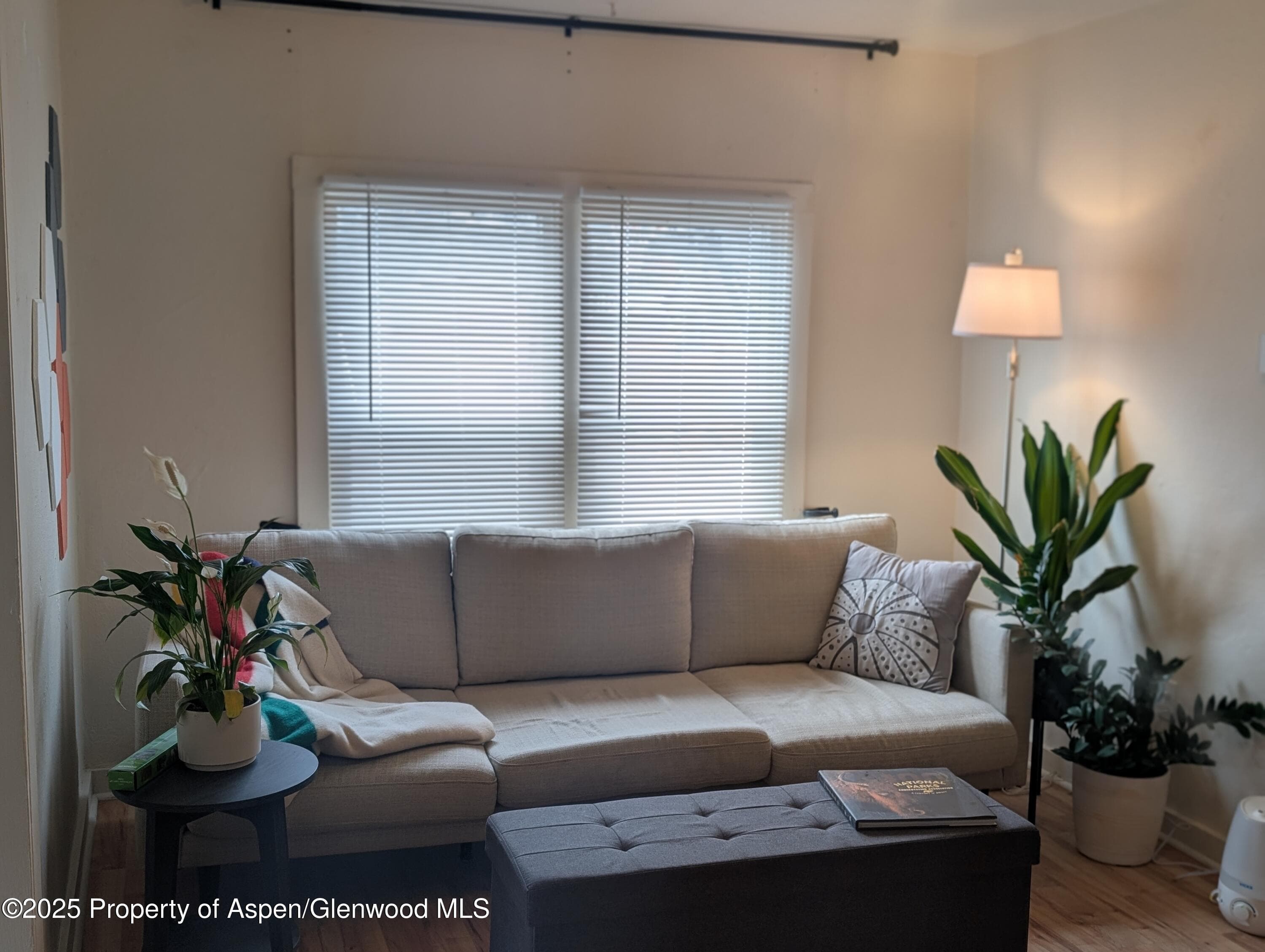 647 East Avenue, Rifle, CO 81650 - Photo 6