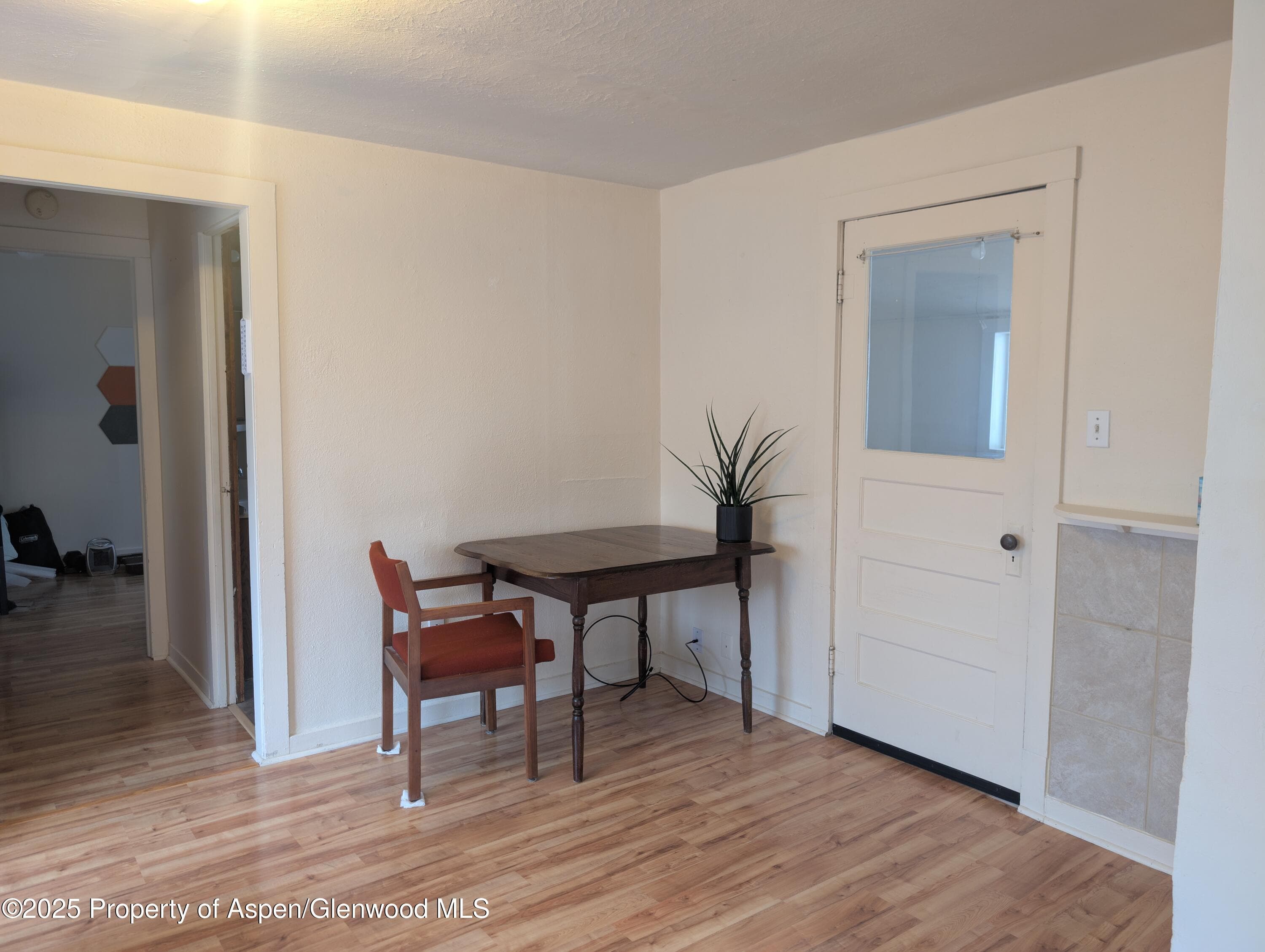 647 East Avenue, Rifle, CO 81650 - Photo 10