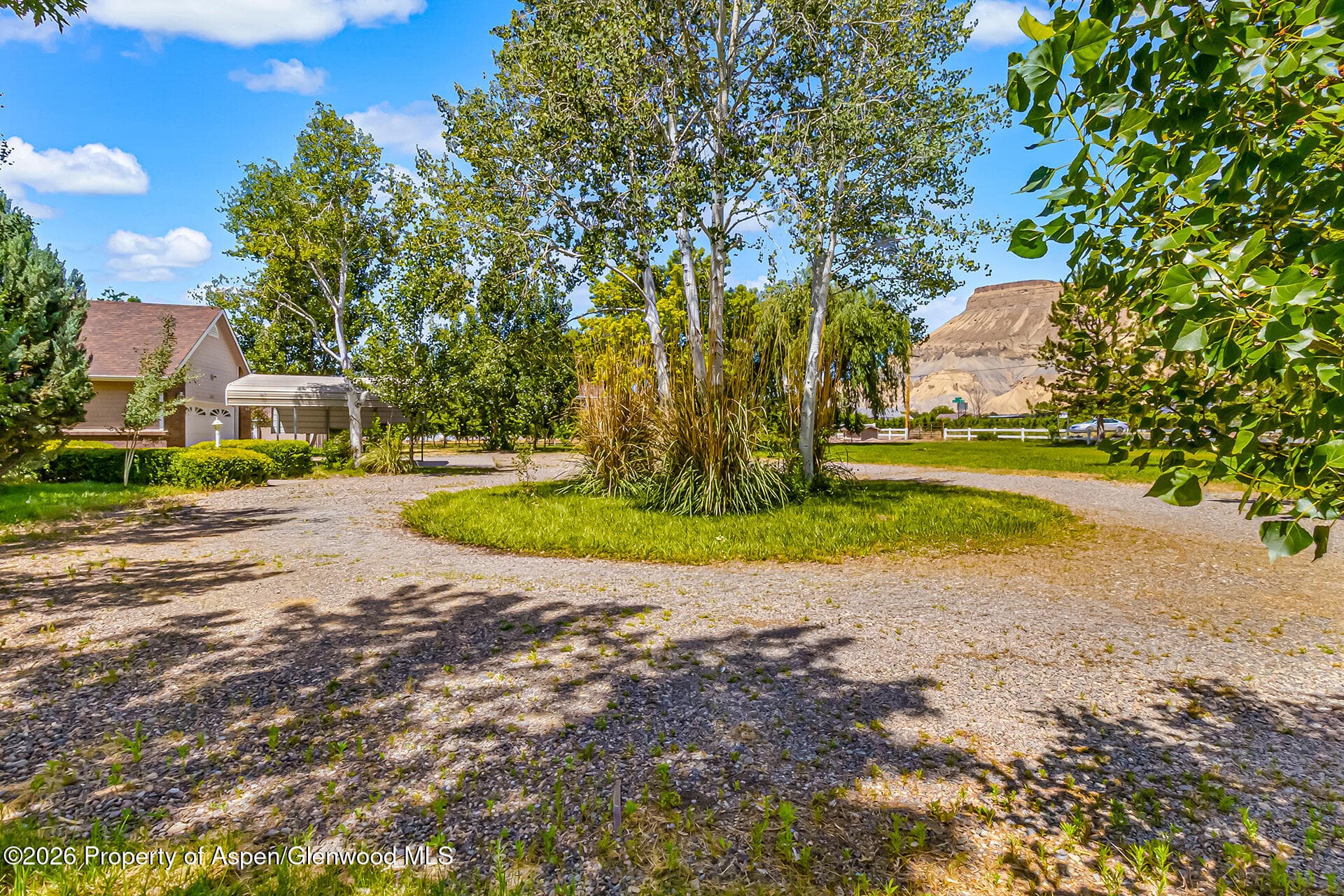 3609 G Road, Palisade, CO 81526 - Photo 3