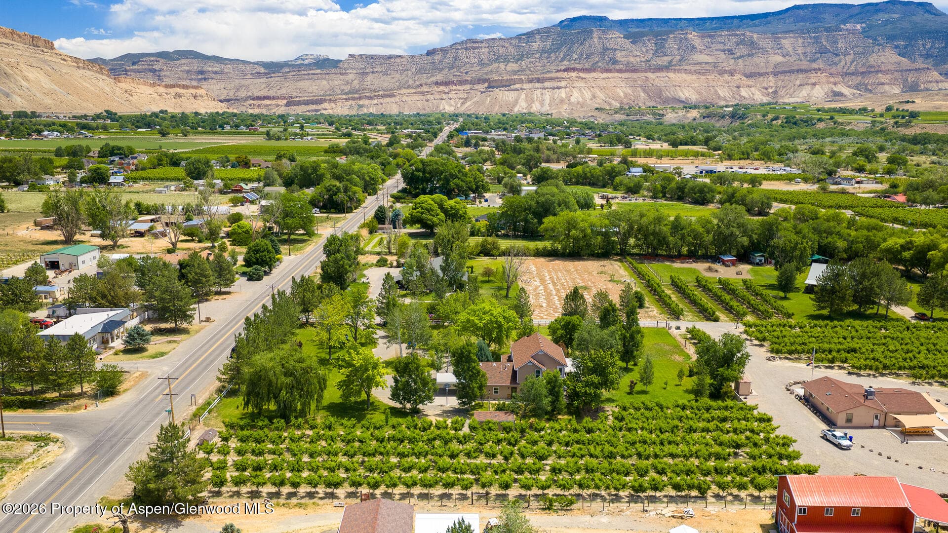 3609 G Road, Palisade, CO 81526 - Photo 49