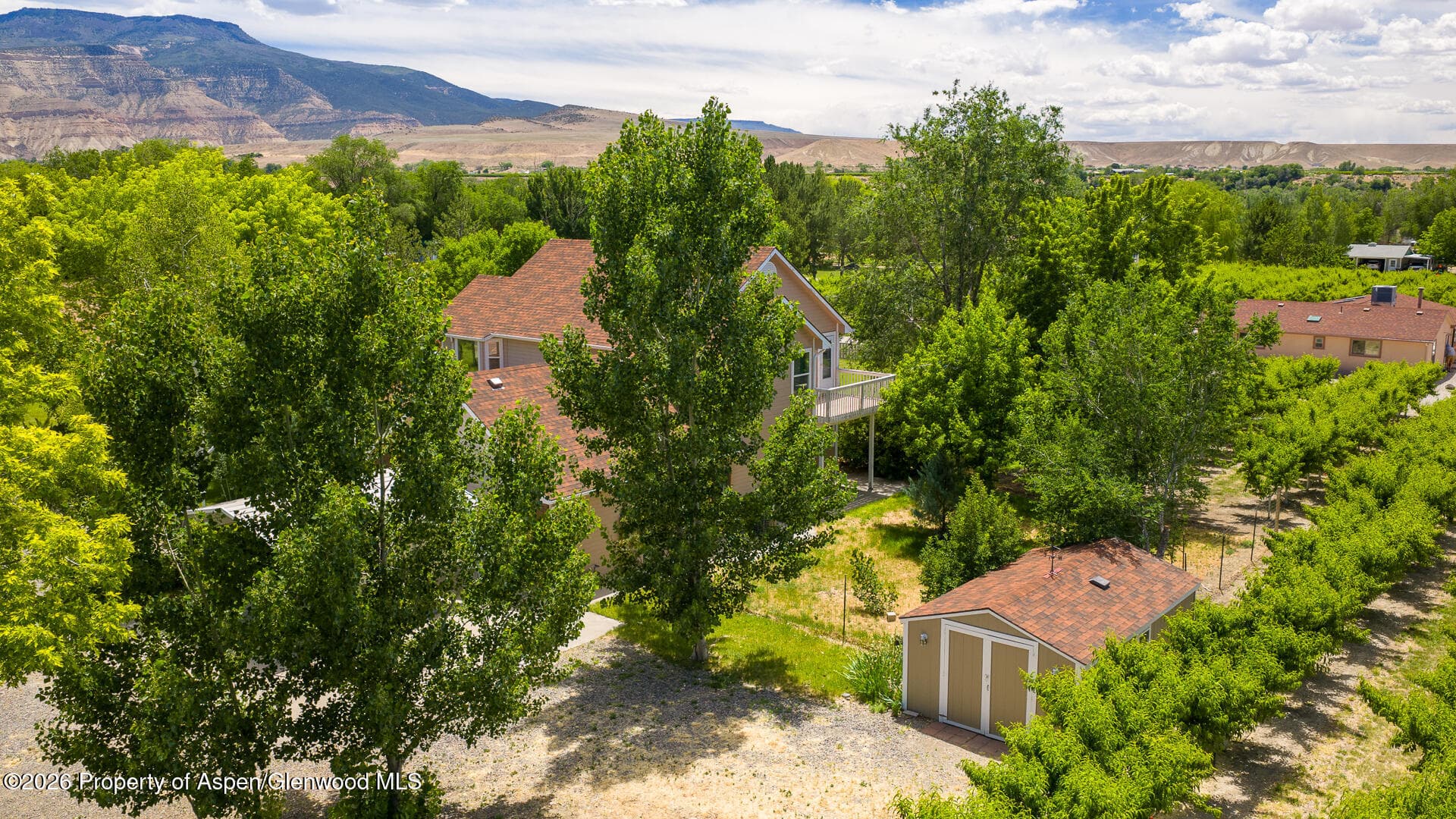 3609 G Road, Palisade, CO 81526 - Photo 60