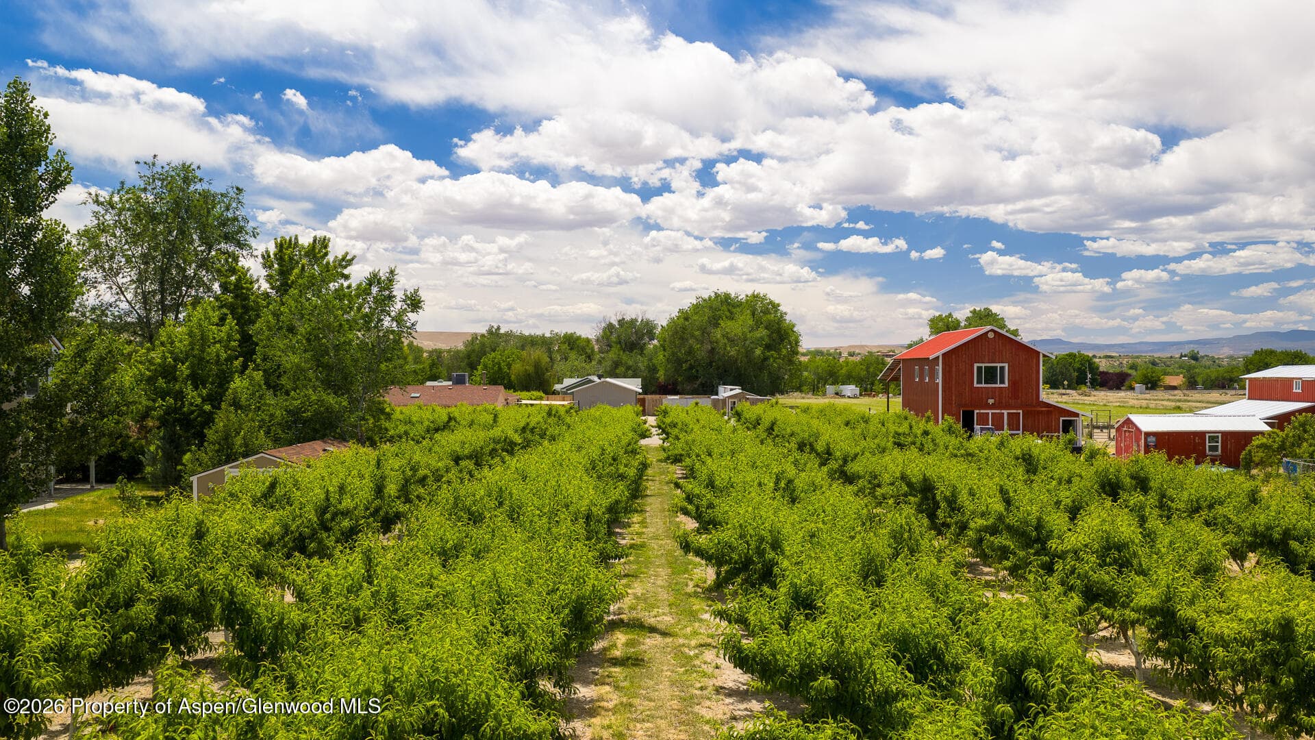 3609 G Road, Palisade, CO 81526 - Photo 61