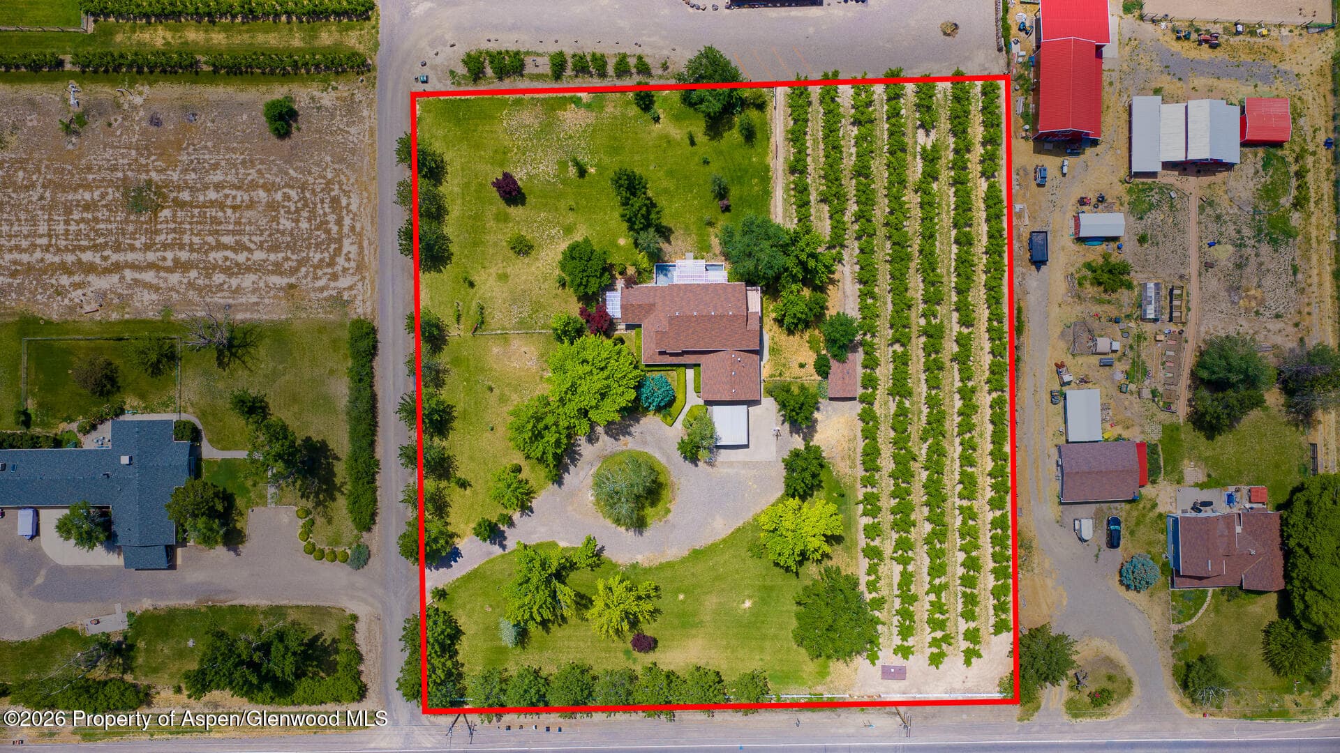 3609 G Road, Palisade, CO 81526 - Photo 63