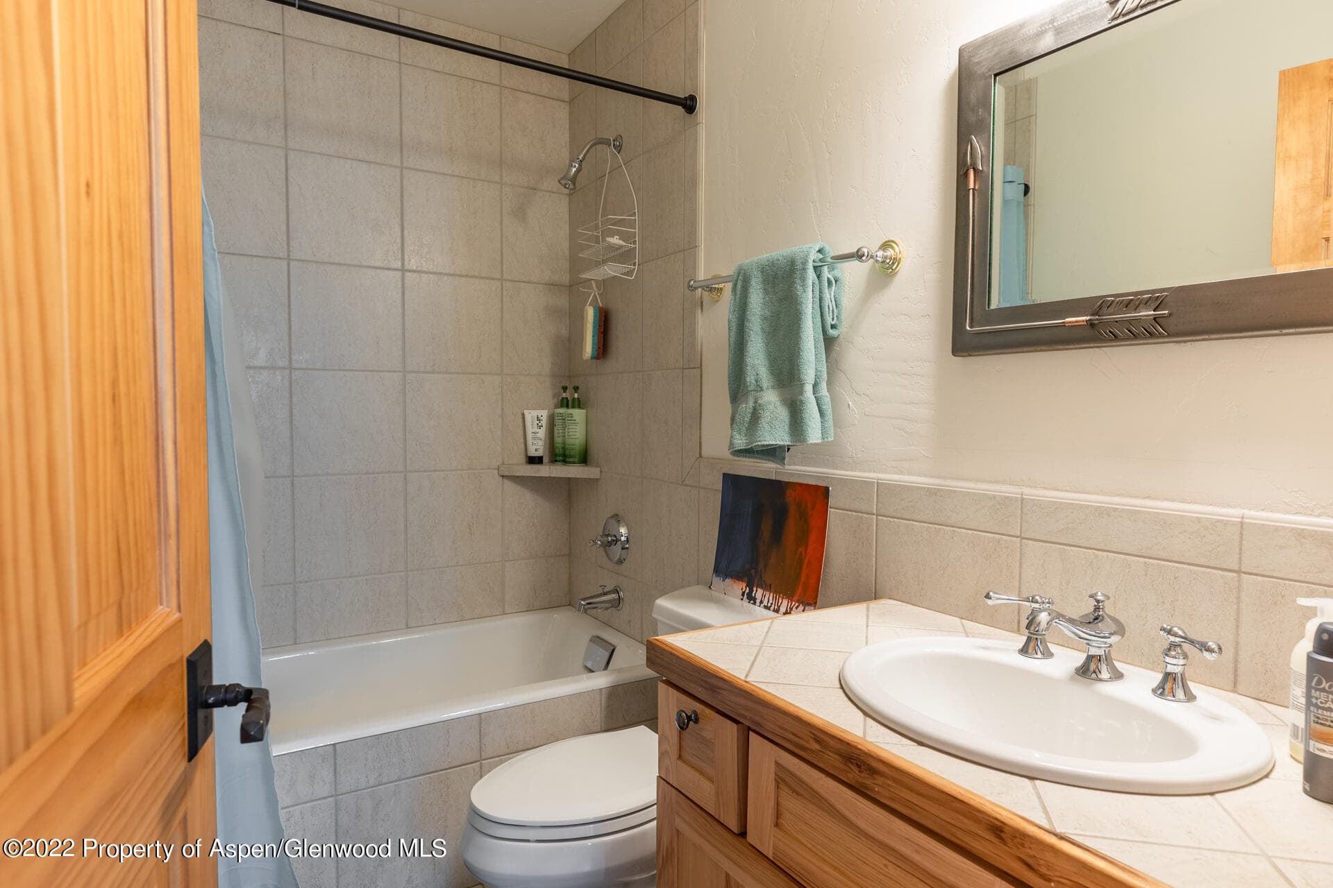 1103 Heritage Drive, Carbondale, CO 81623 - Photo 20