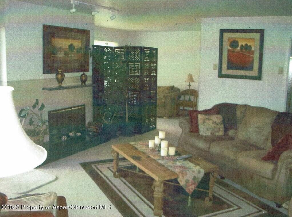 14913 Hwy 82, Unit 108, Carbondale, CO 81623 - Photo 5