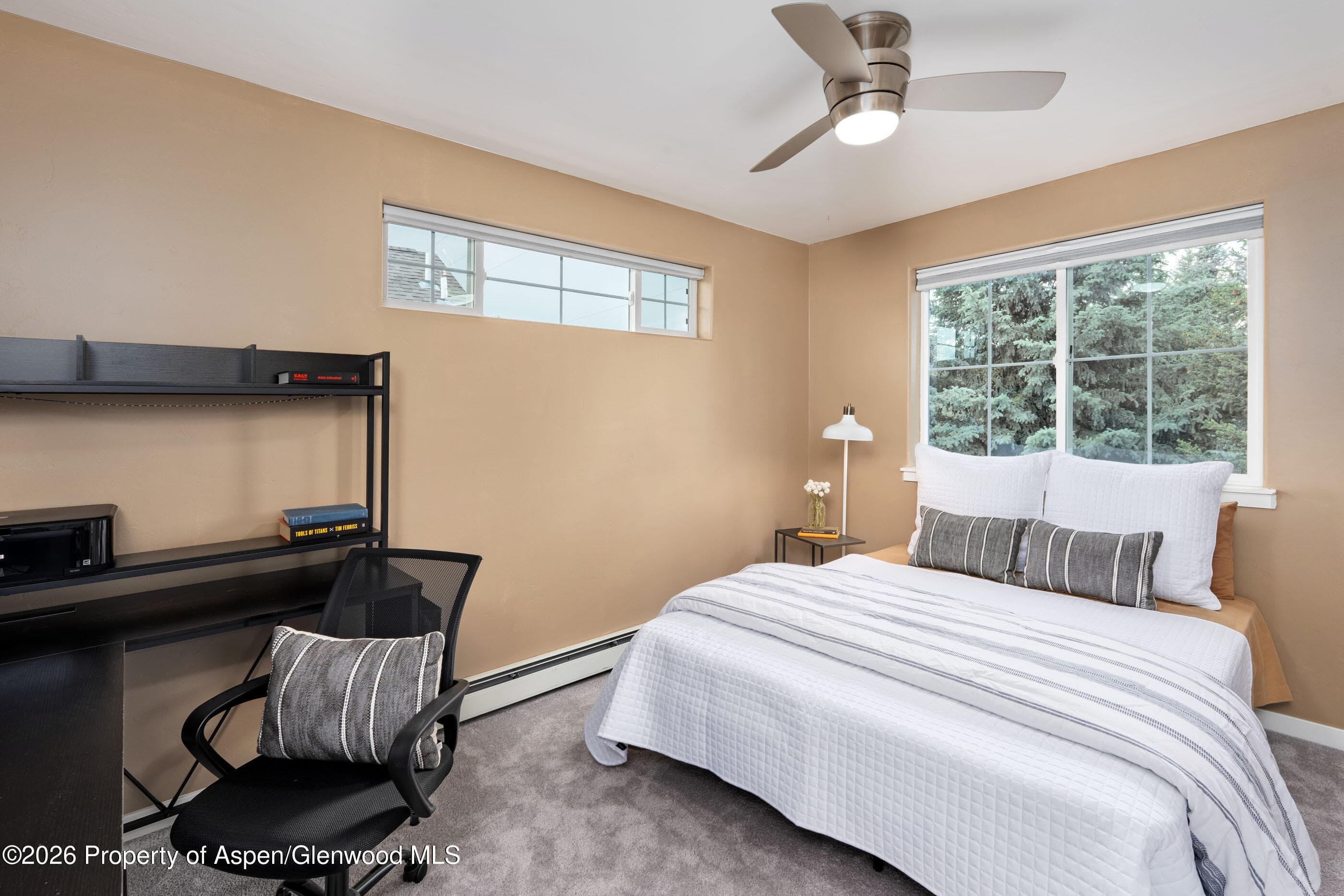 321 W Eighth Court, Carbondale, CO 81623 - Photo 16