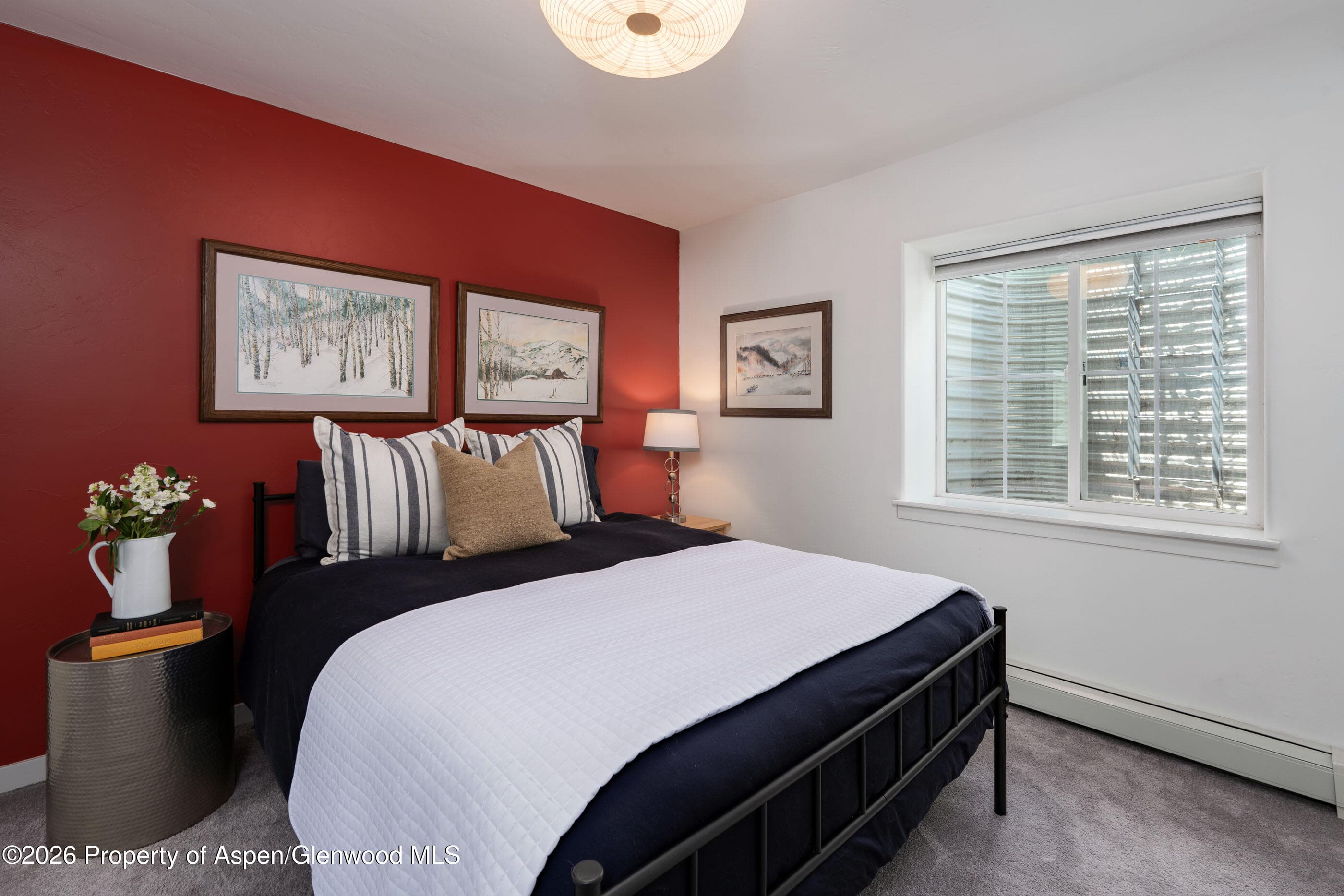 321 W Eighth Court, Carbondale, CO 81623 - Photo 19