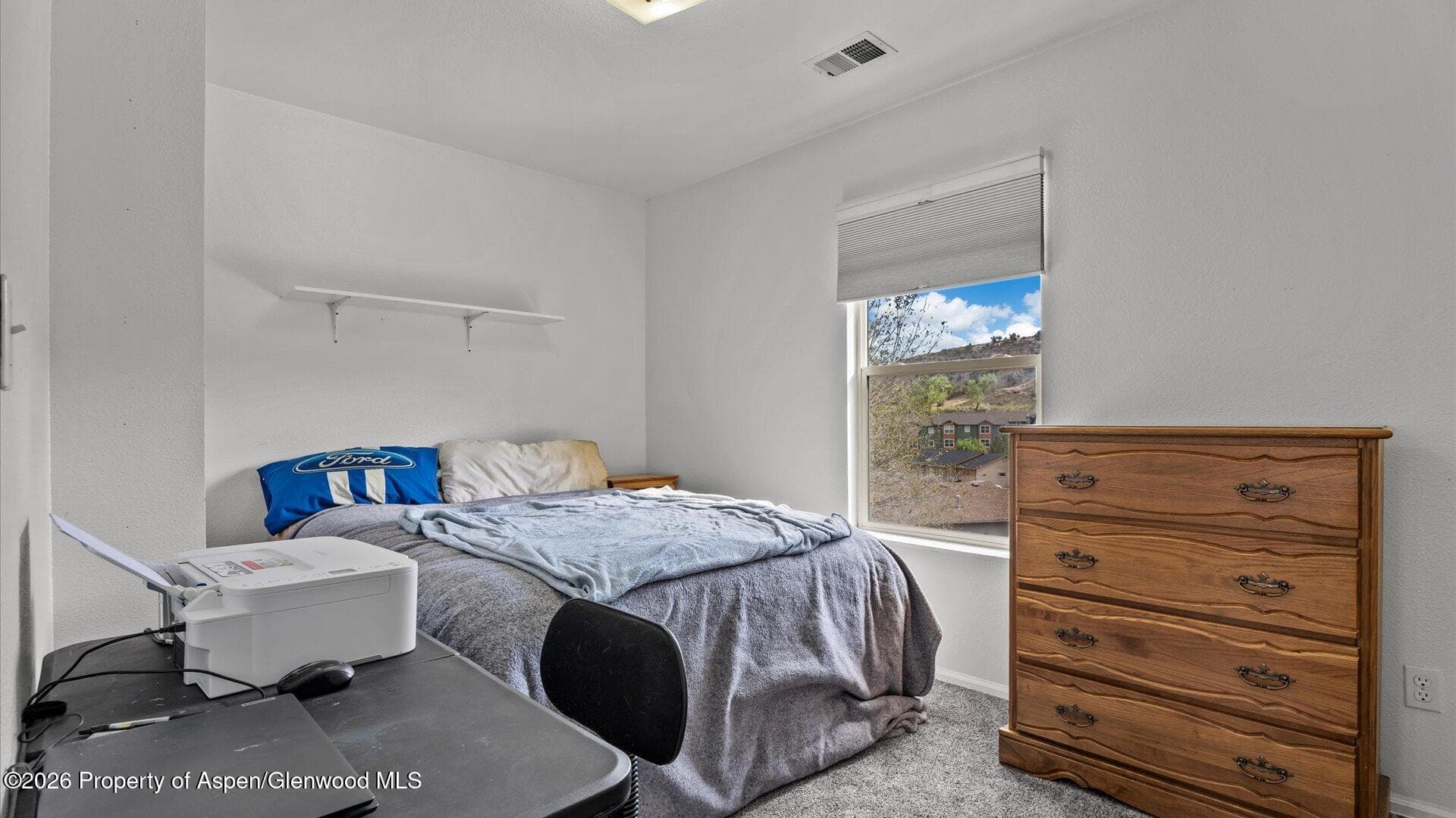 2615 Apache Court, Rifle, CO 81650 - Photo 19