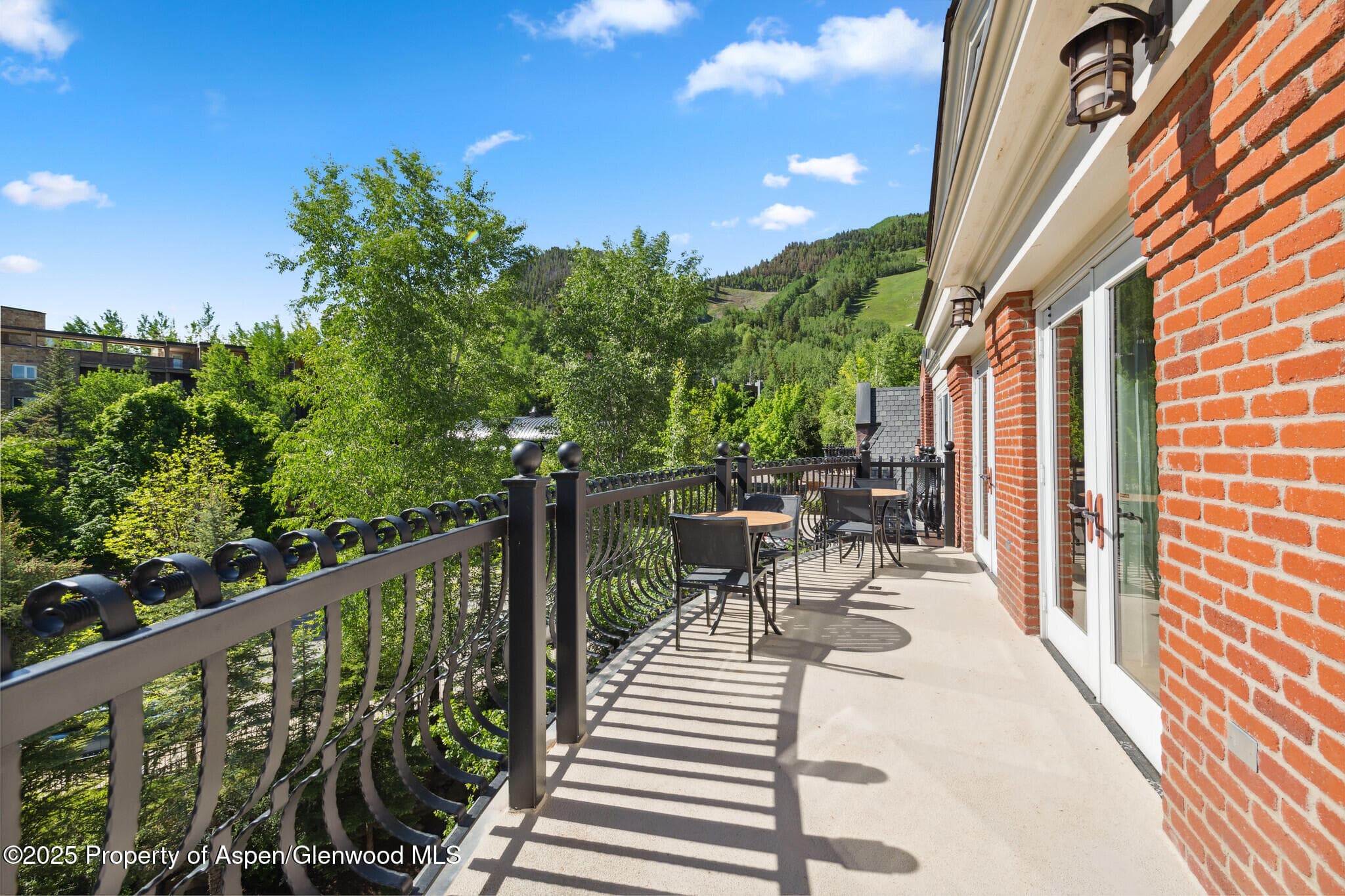 415 E Dean St., Unit 49 Week 33, Aspen, CO 81611 - Photo 2