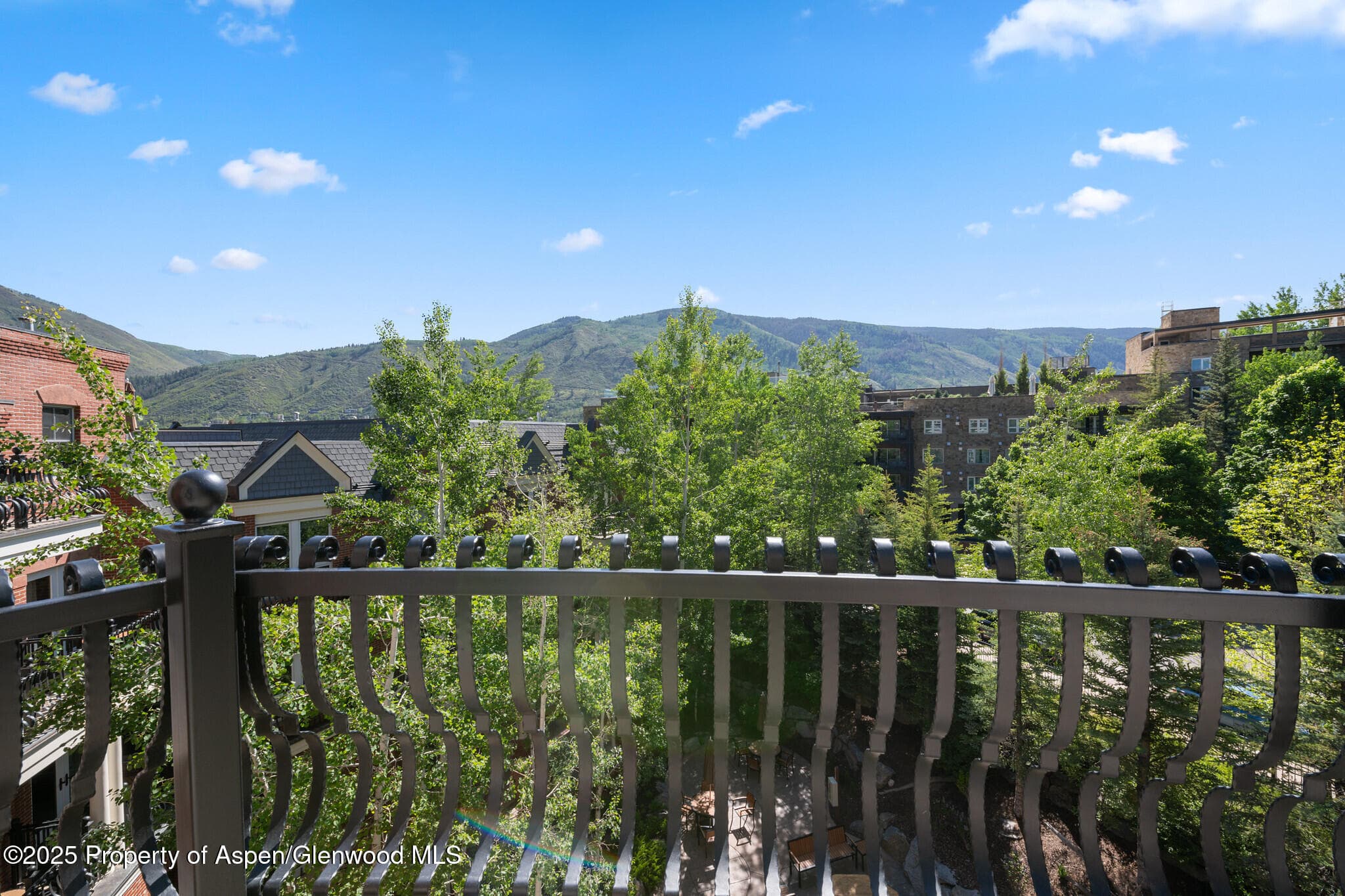 415 E Dean St., Unit 49 Week 33, Aspen, CO 81611 - Photo 10