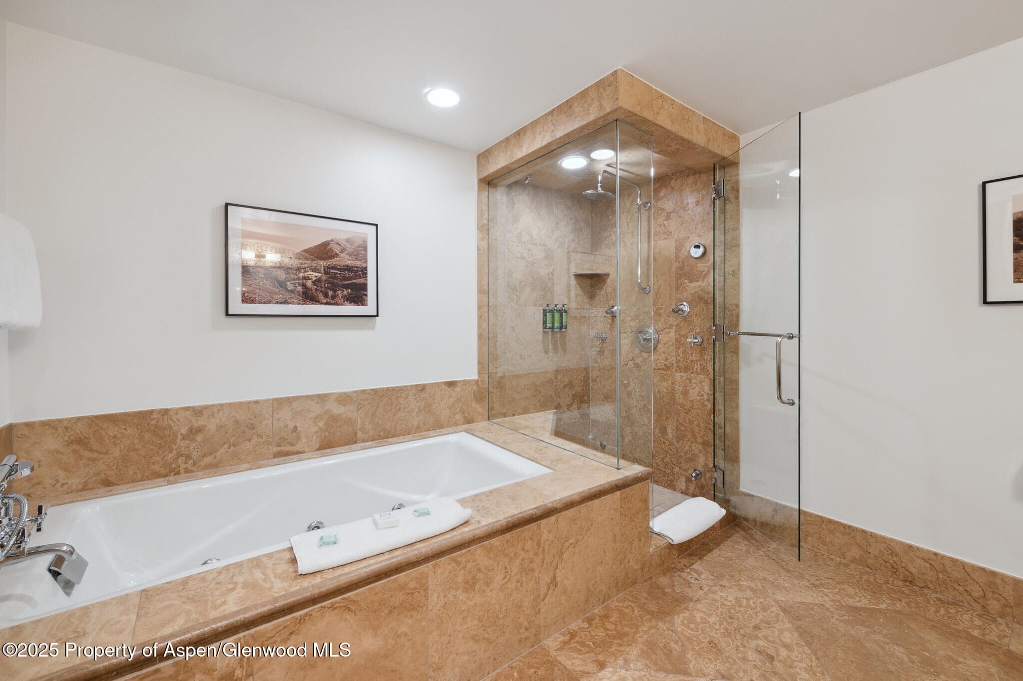 415 E Dean St., Unit 49 Week 33, Aspen, CO 81611 - Photo 17