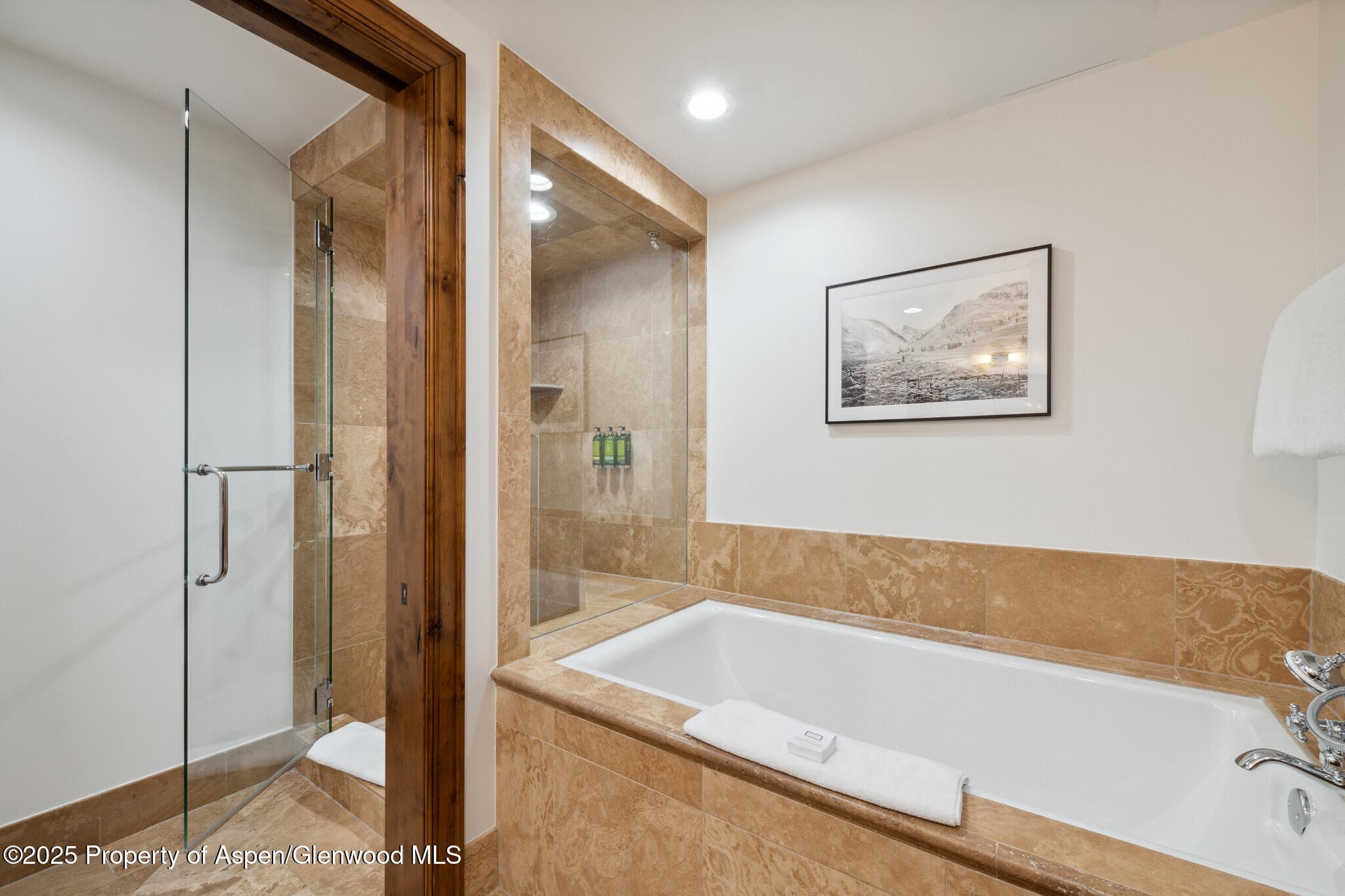 415 E Dean St., Unit 49 Week 33, Aspen, CO 81611 - Photo 22
