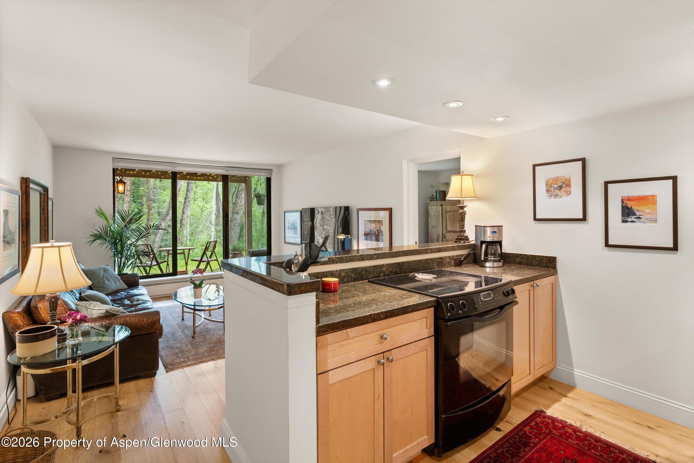 412 Vine Street, Aspen, CO 81611 - Photo 7