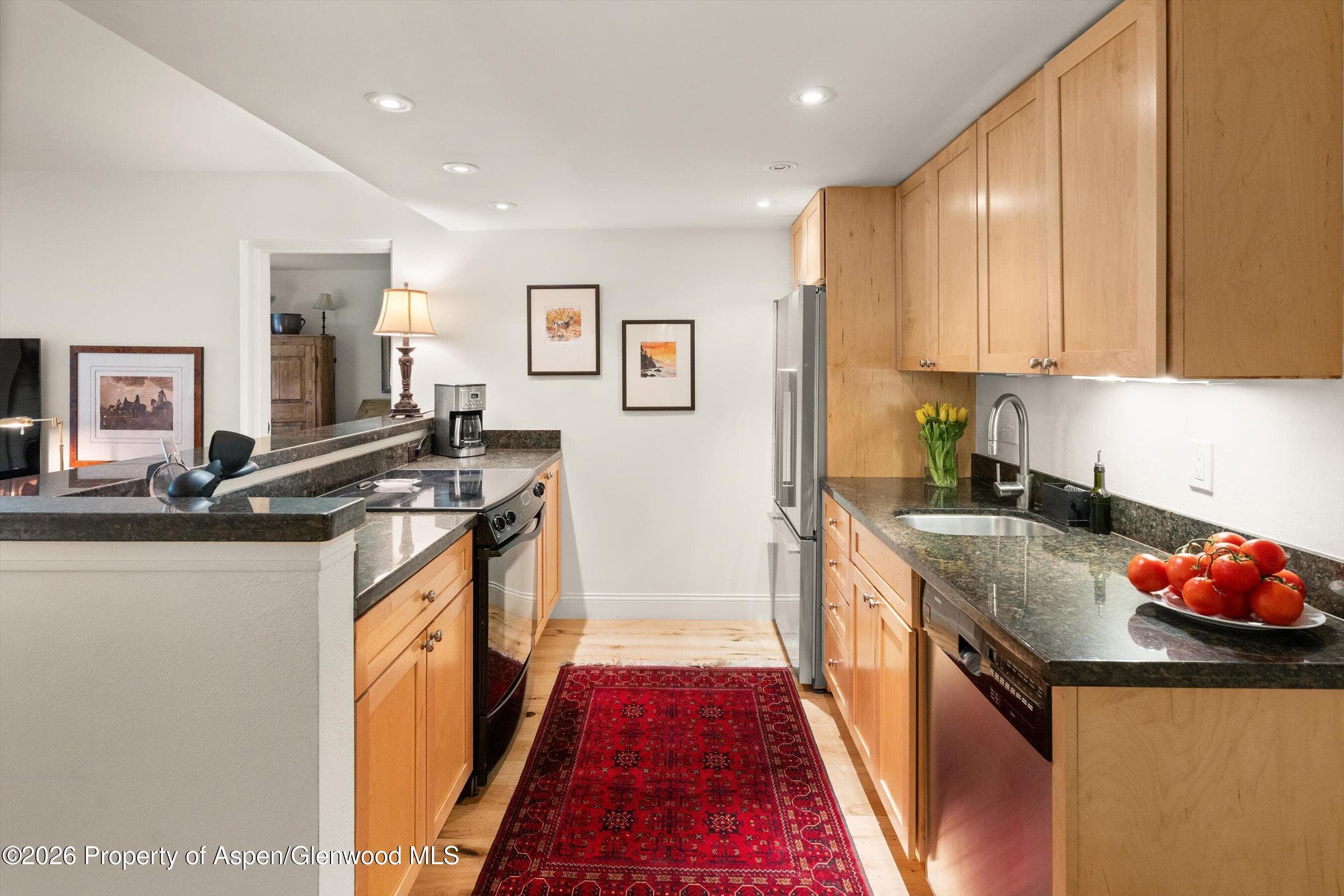 412 Vine Street, Aspen, CO 81611 - Photo 8