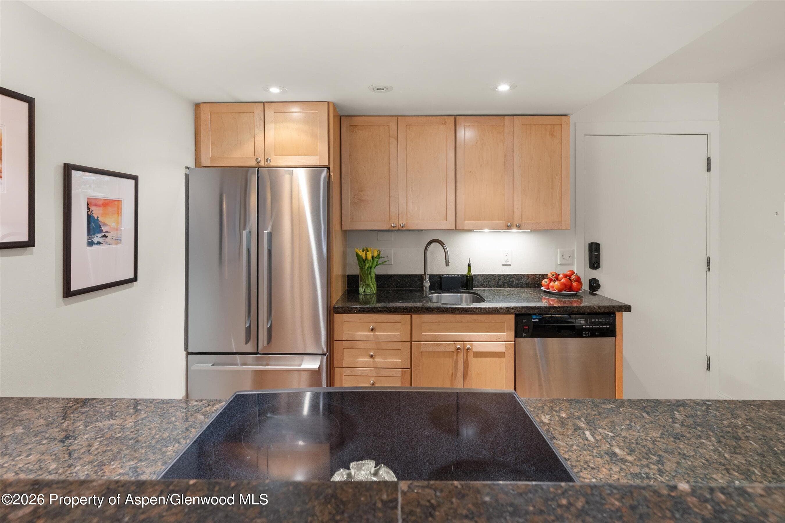 412 Vine Street, Aspen, CO 81611 - Photo 9