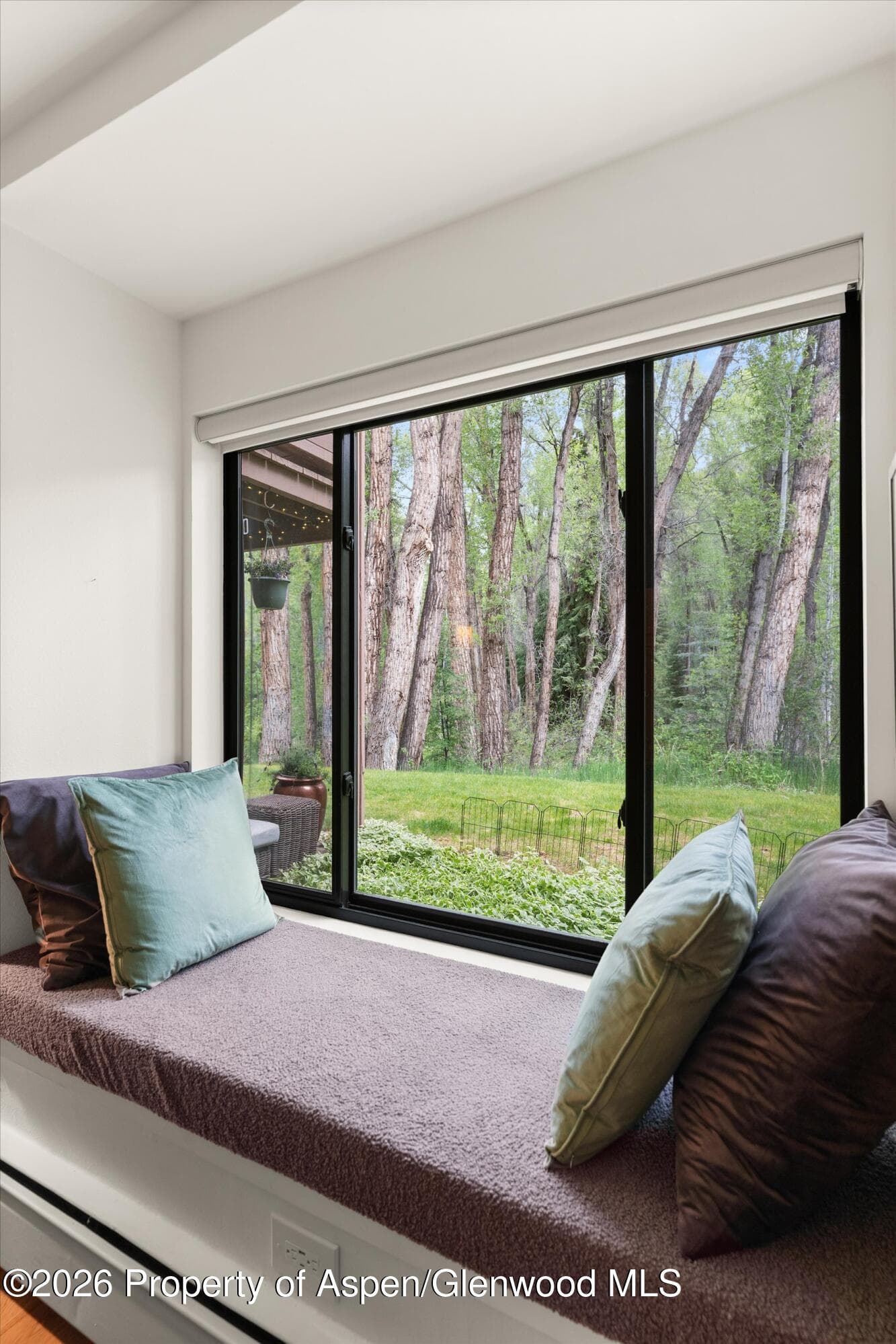 412 Vine Street, Aspen, CO 81611 - Photo 12
