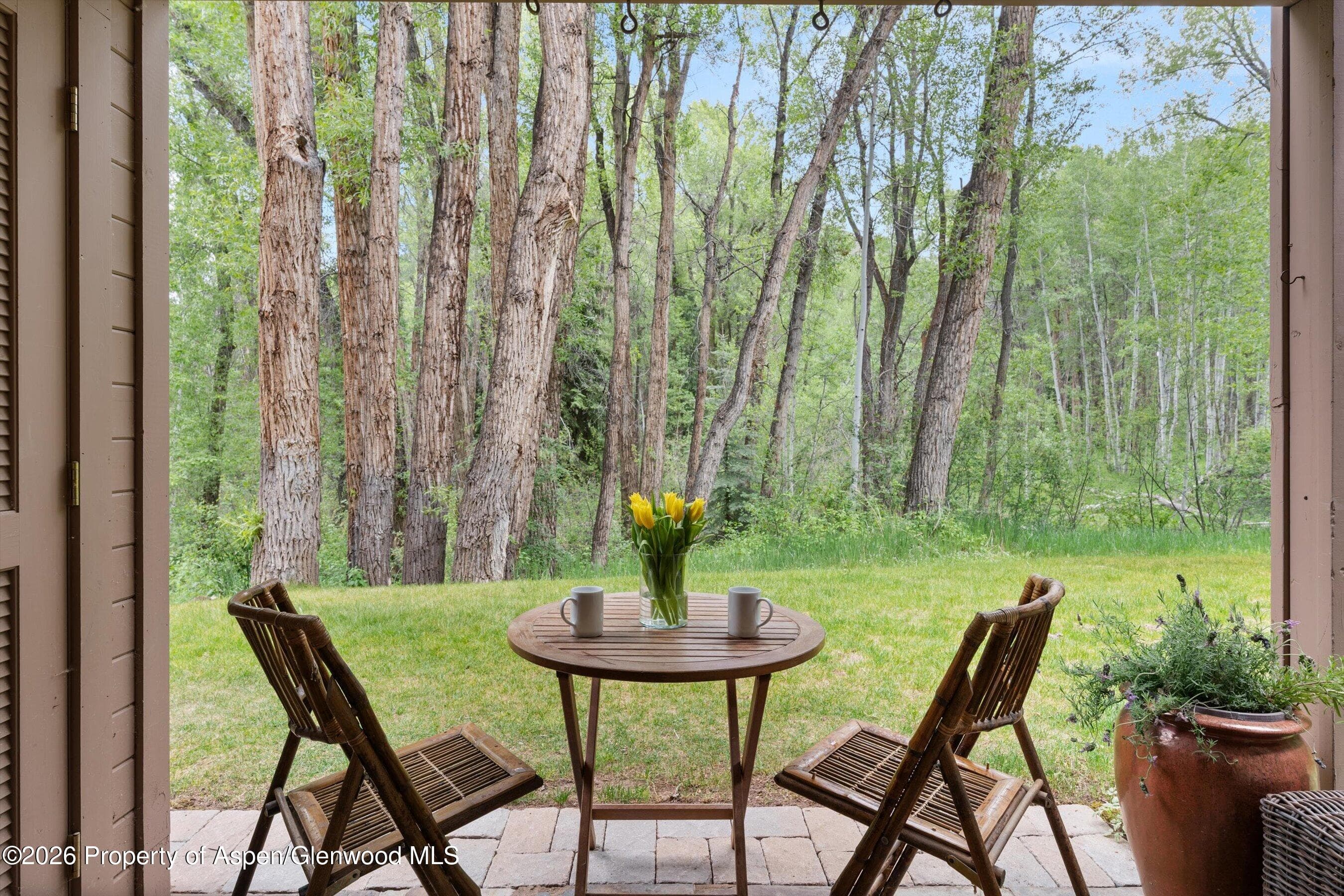 412 Vine Street, Aspen, CO 81611 - Photo 4
