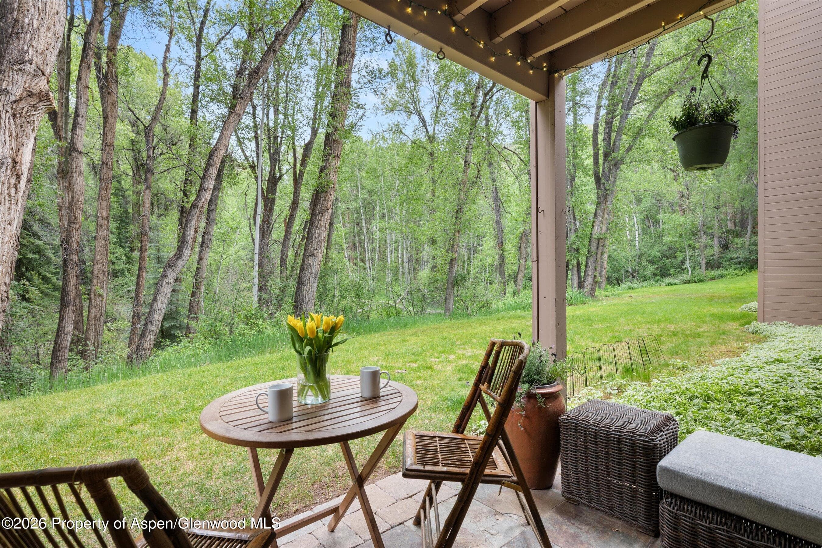 412 Vine Street, Aspen, CO 81611 - Photo 20