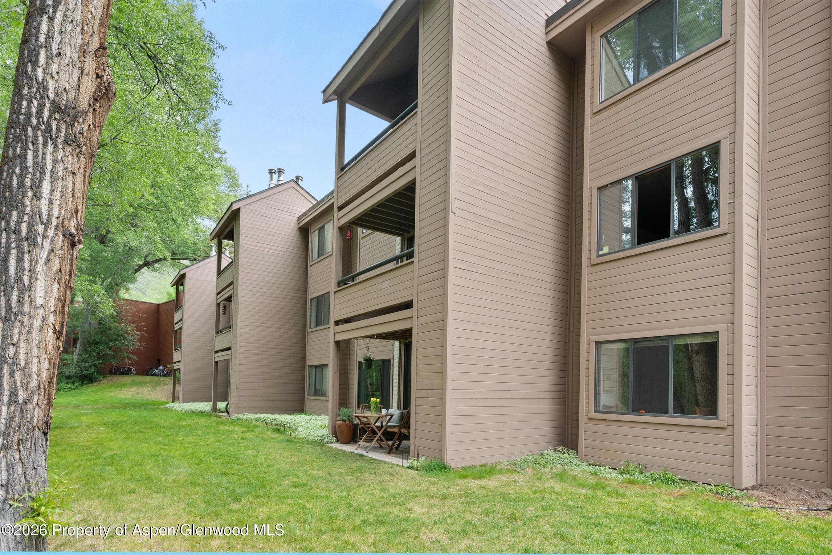 412 Vine Street, Aspen, CO 81611 - Photo 25